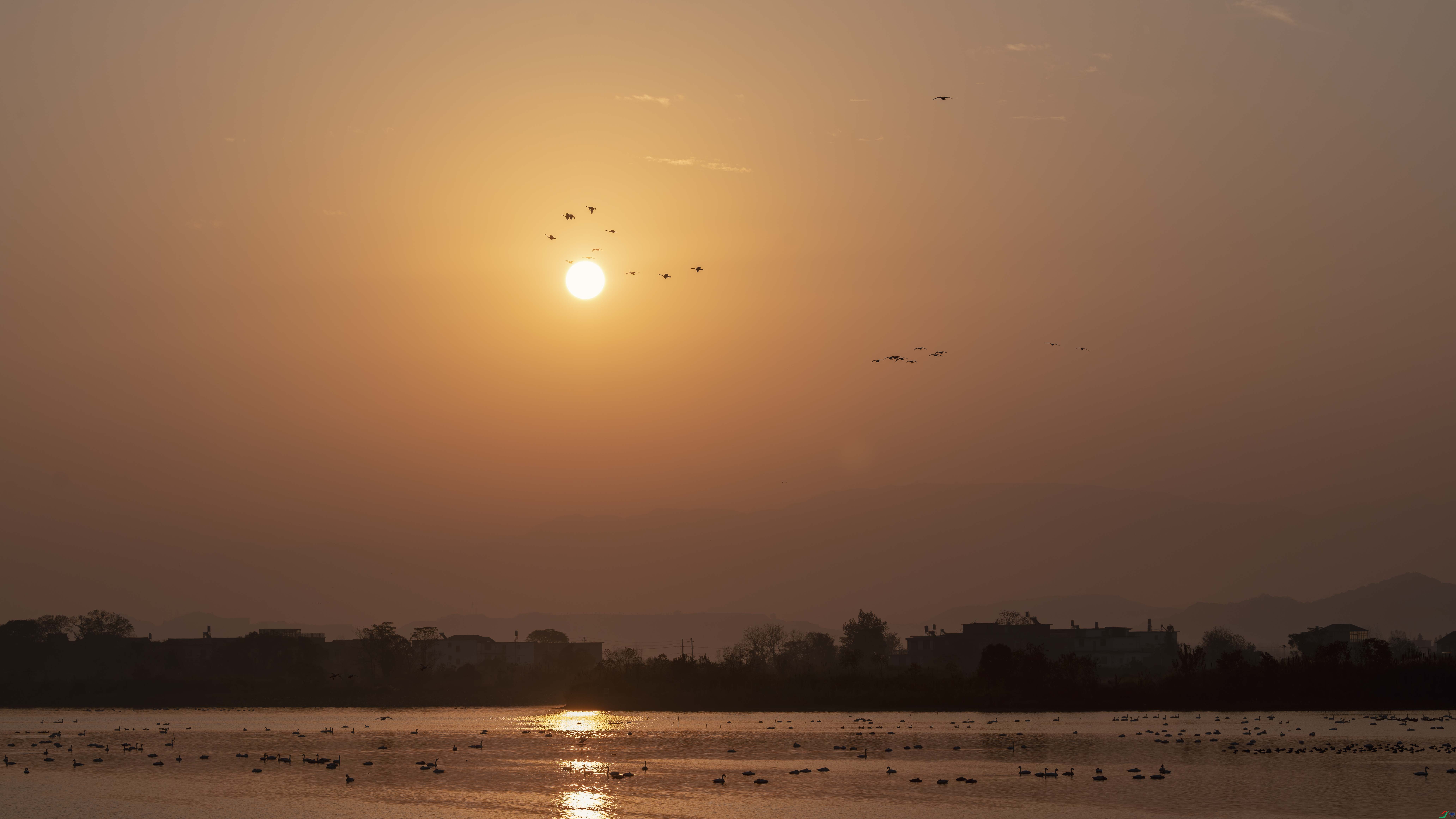DSC_4962-1.jpg