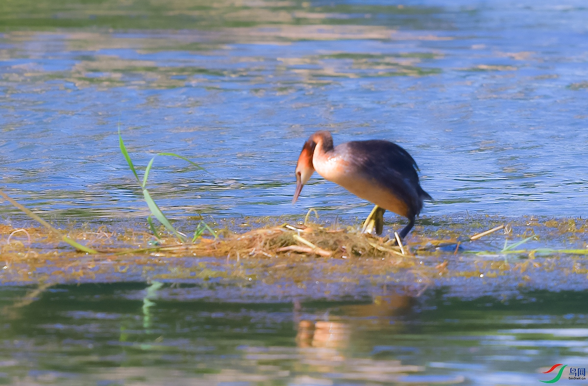 DSC_4796.JPG