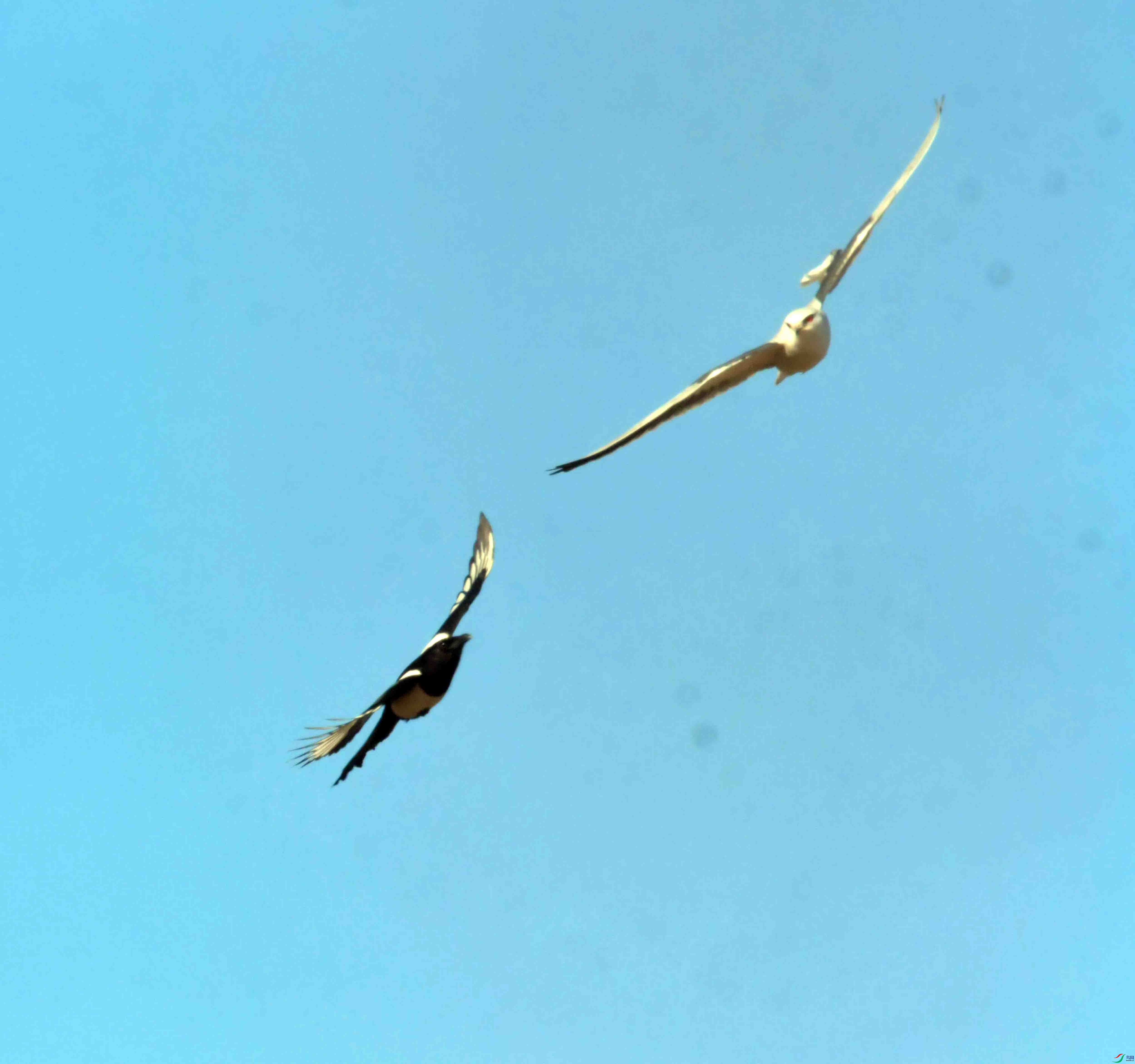 DSC_0977.JPG