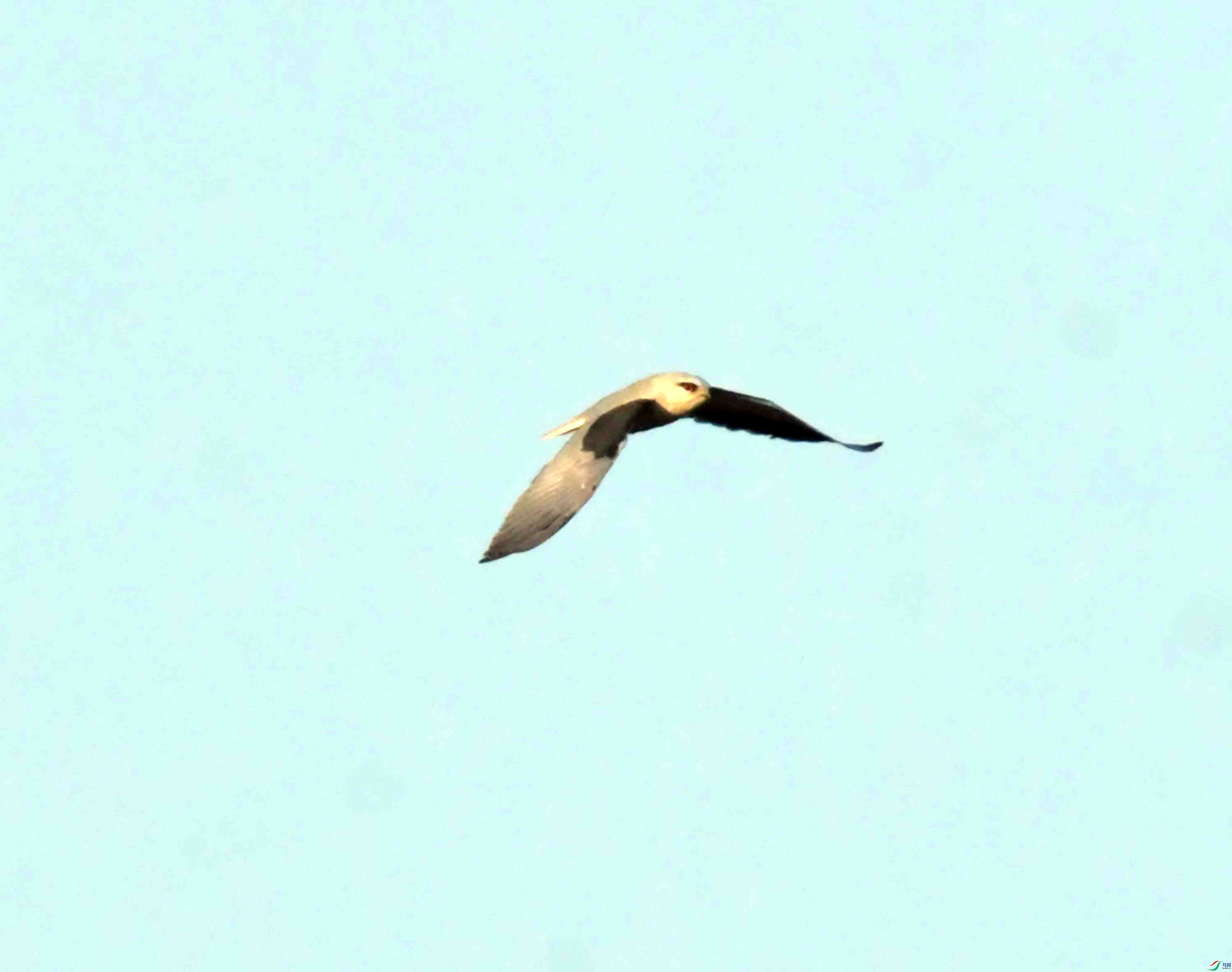 DSC_8973.JPG