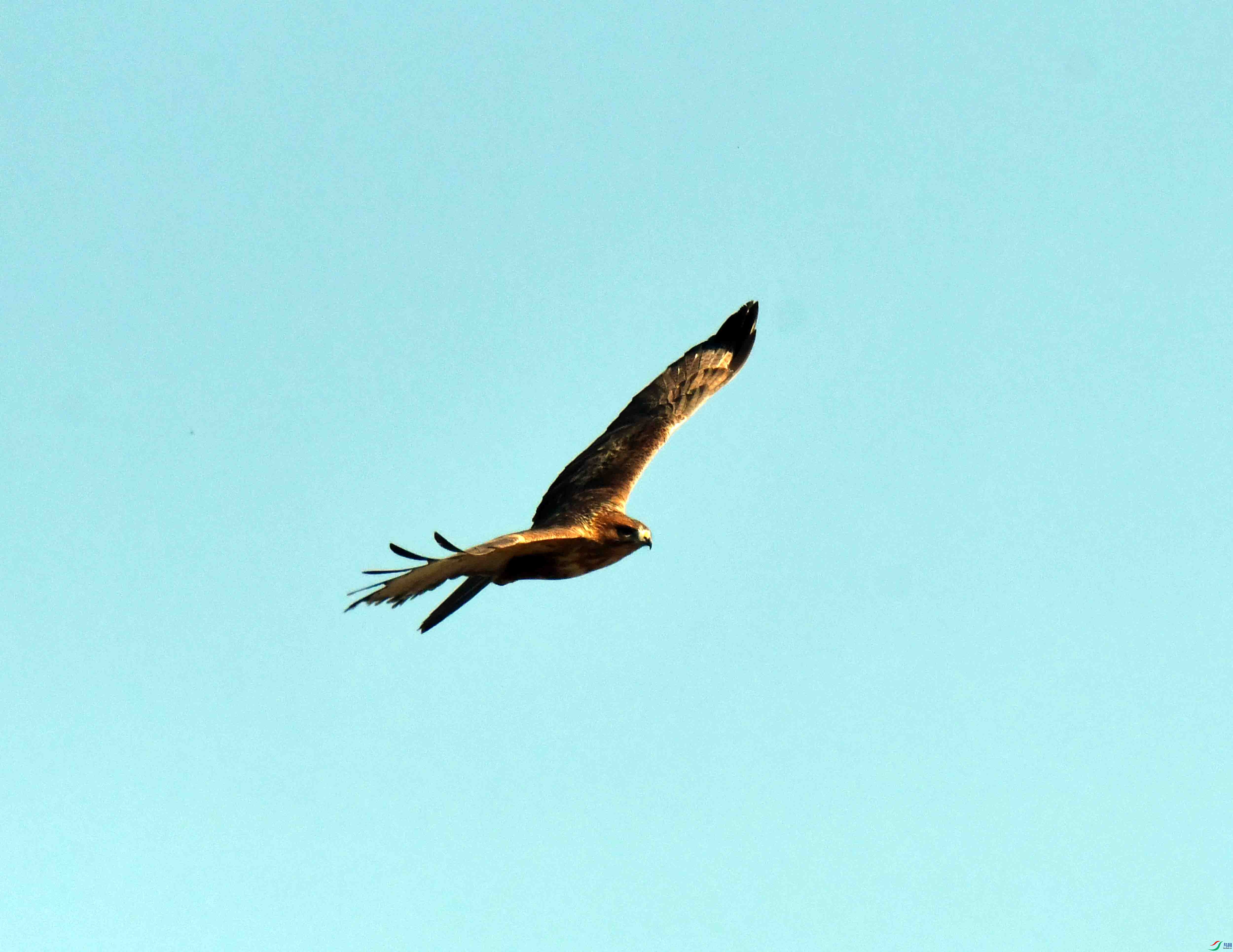DSC_1934.JPG