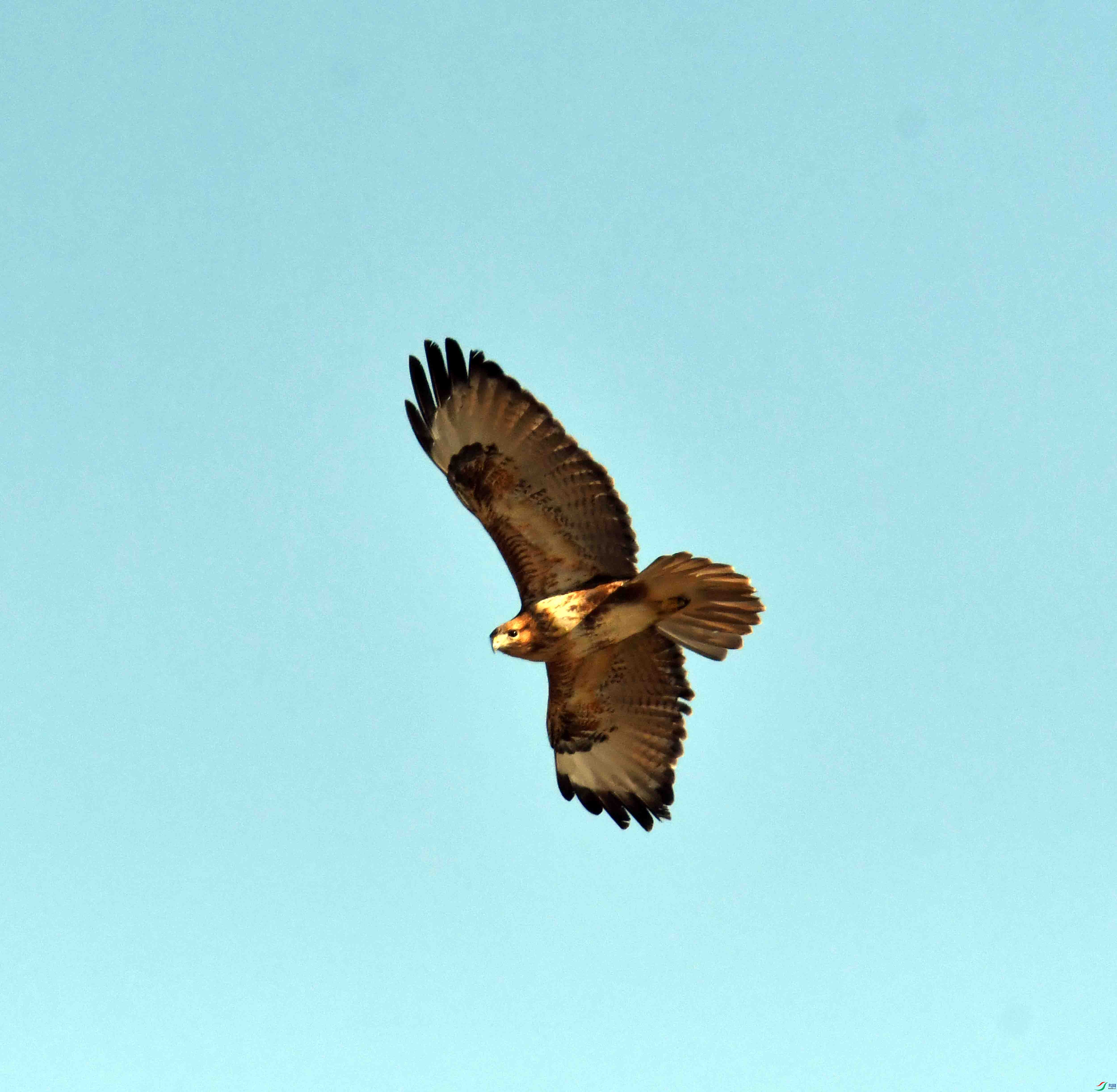 DSC_1940.JPG
