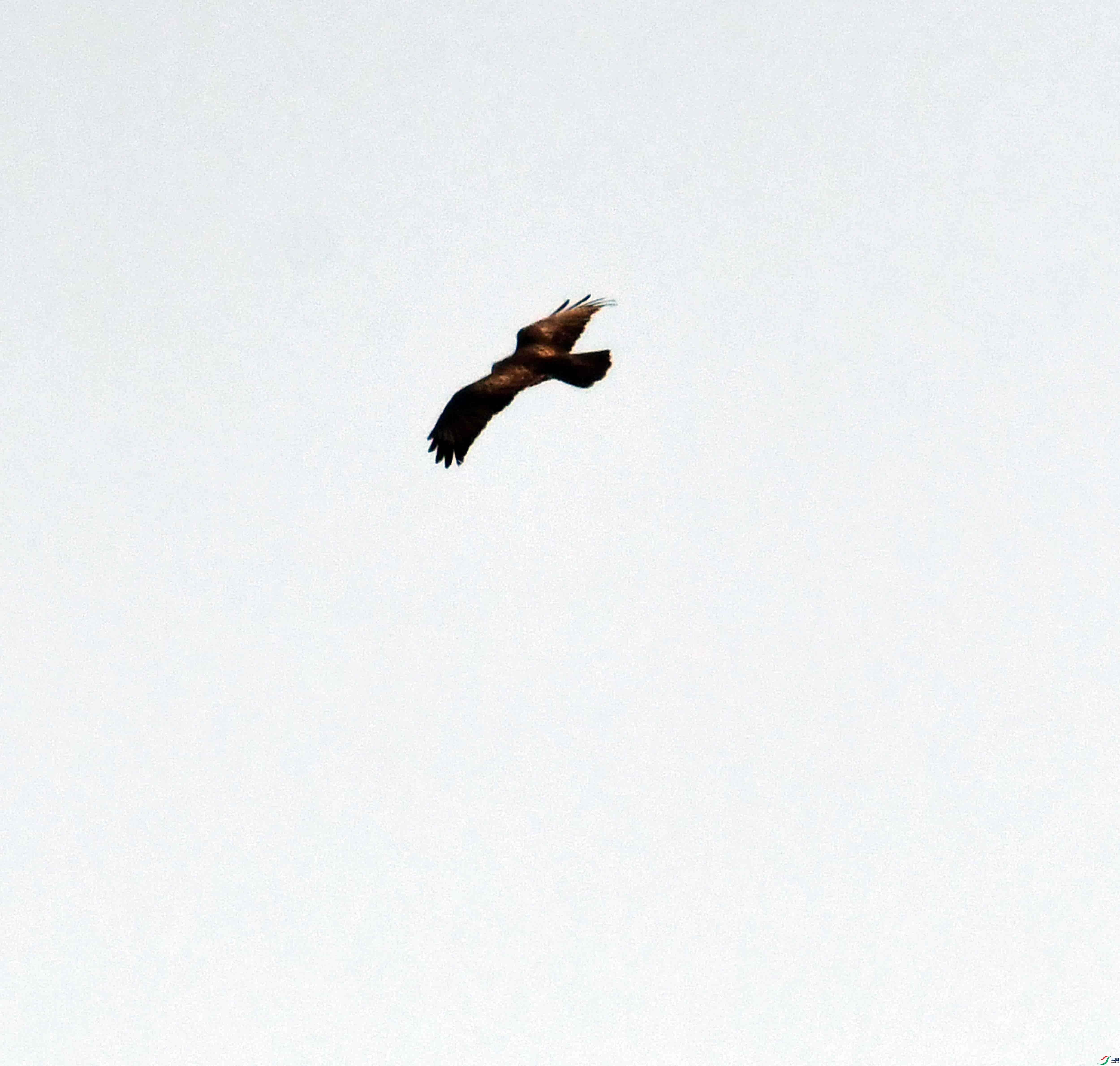 DSC_1988.JPG