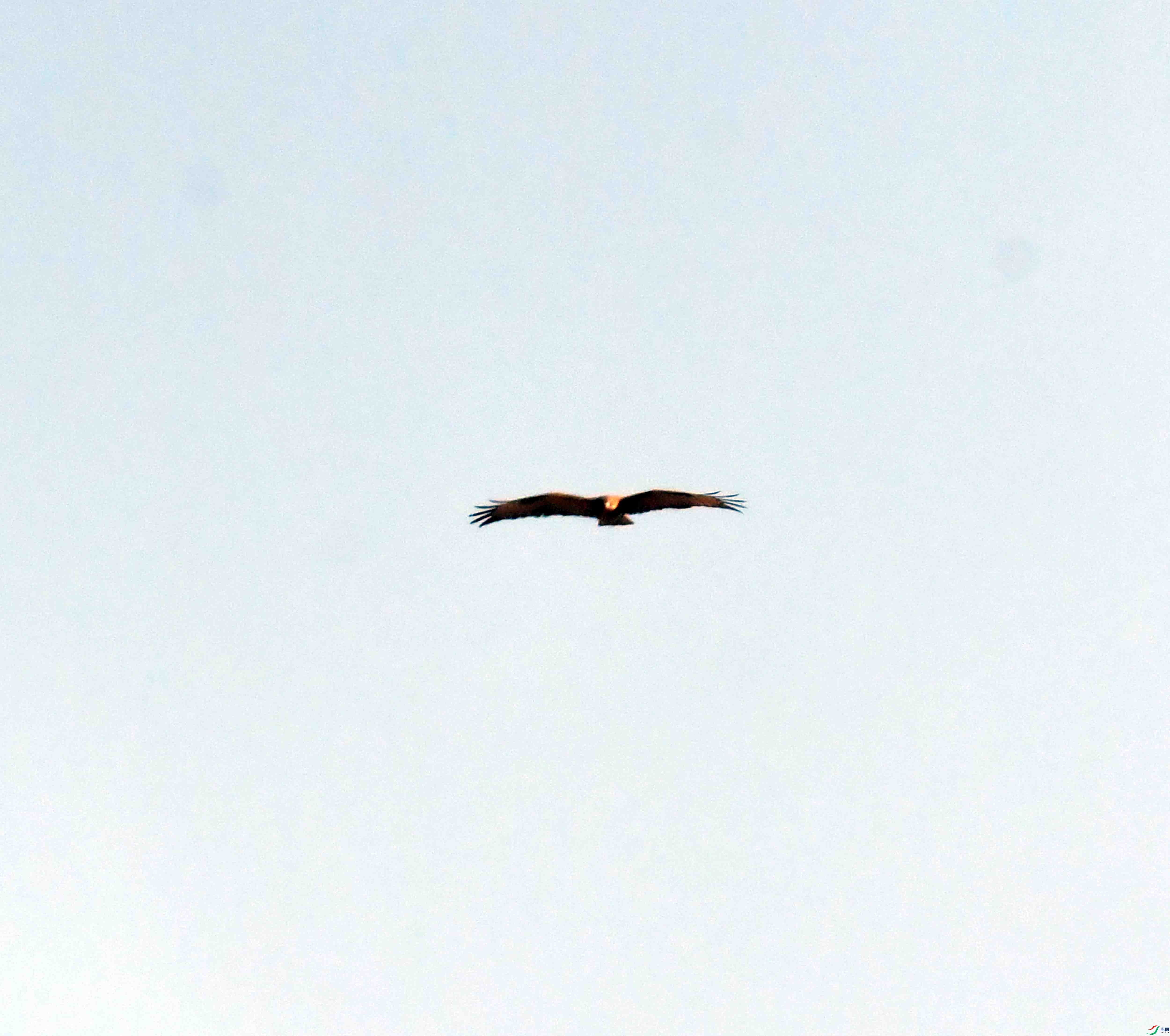 DSC_1991.JPG