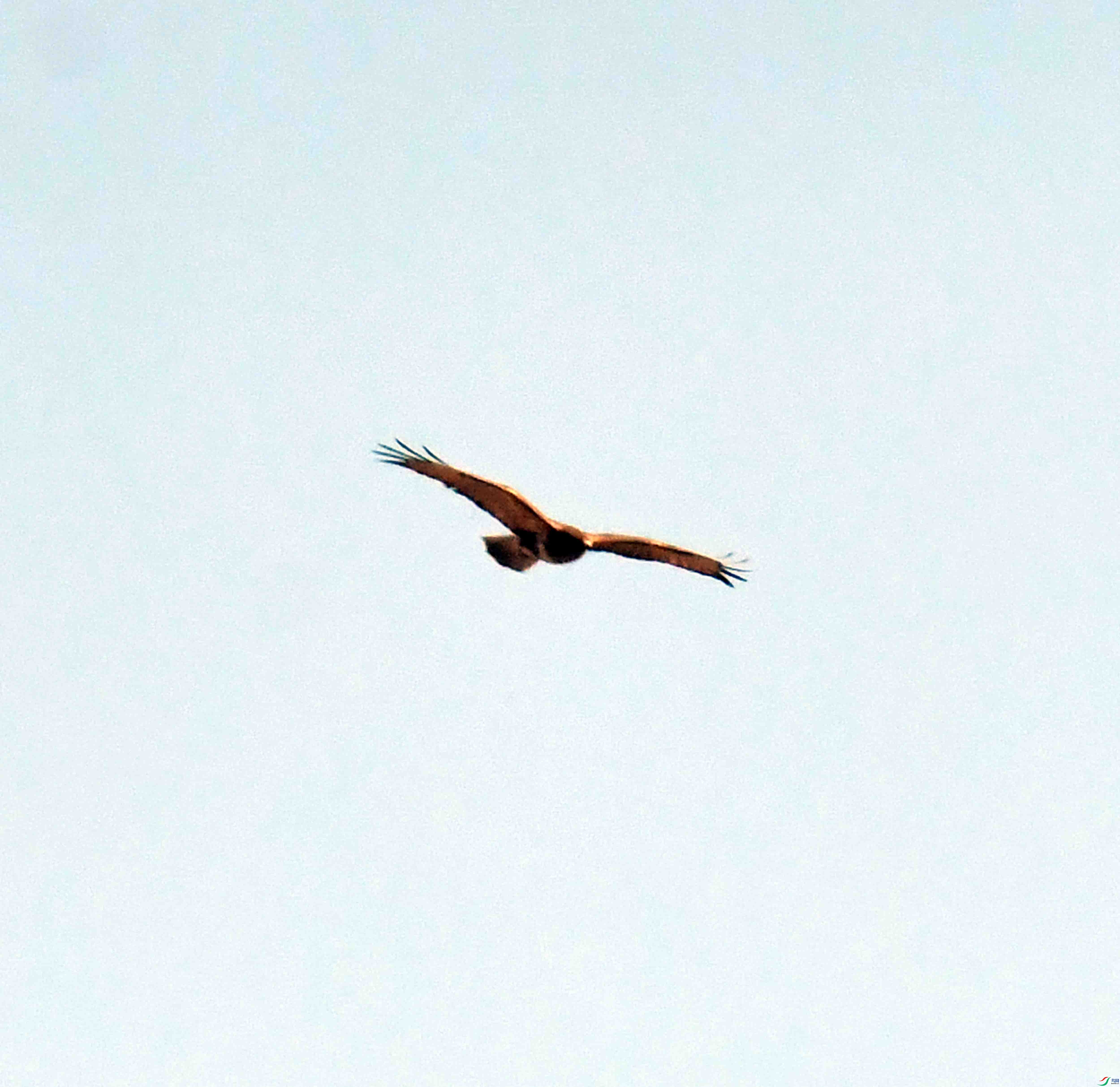 DSC_1995.JPG