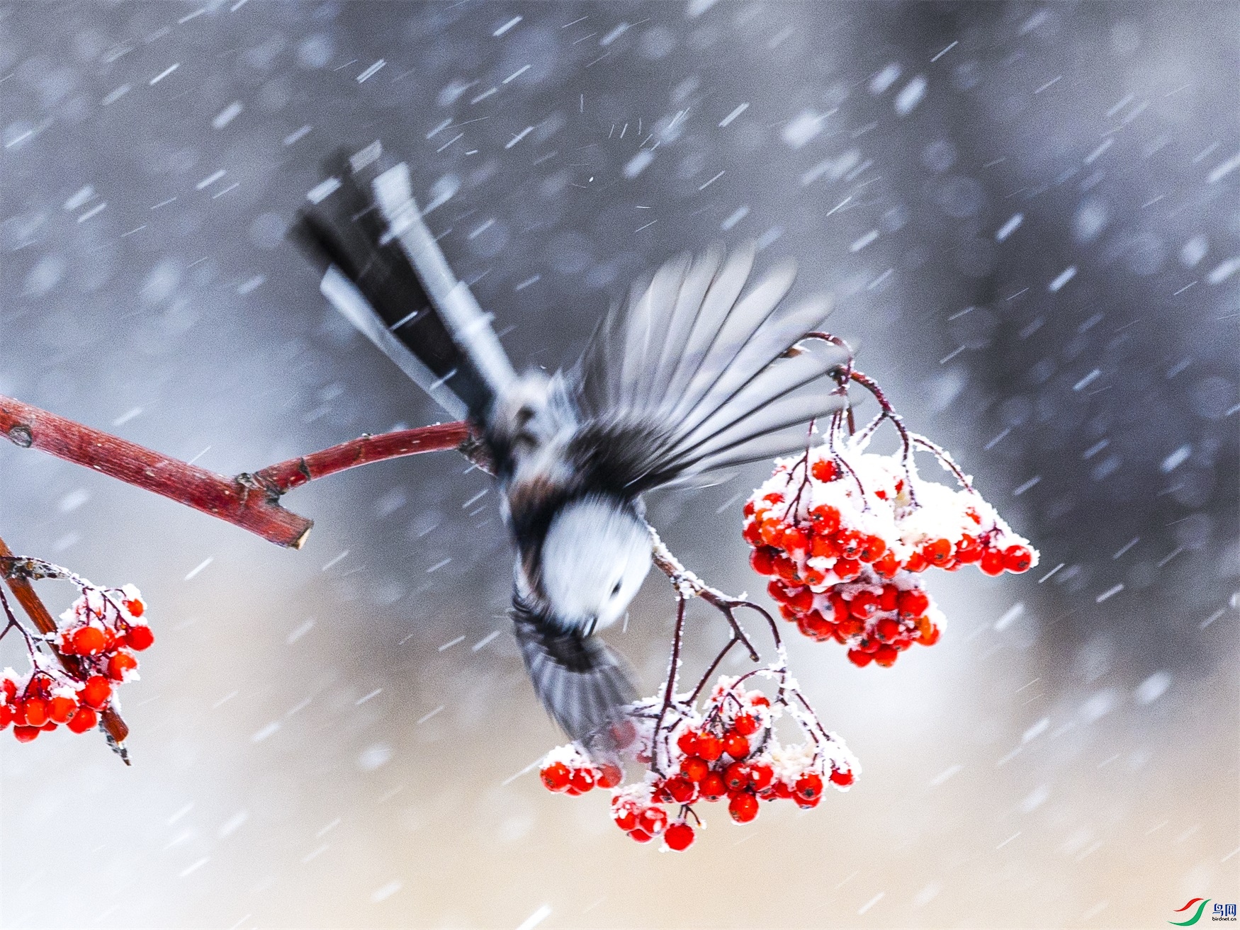 1K3A8846 ����1.jpg