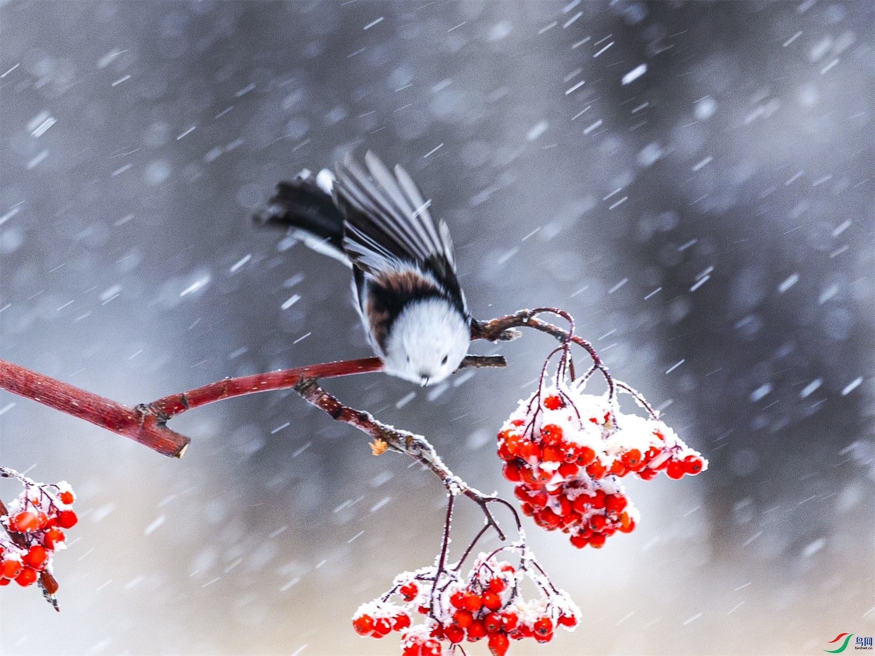 1K3A8845 ����1.jpg