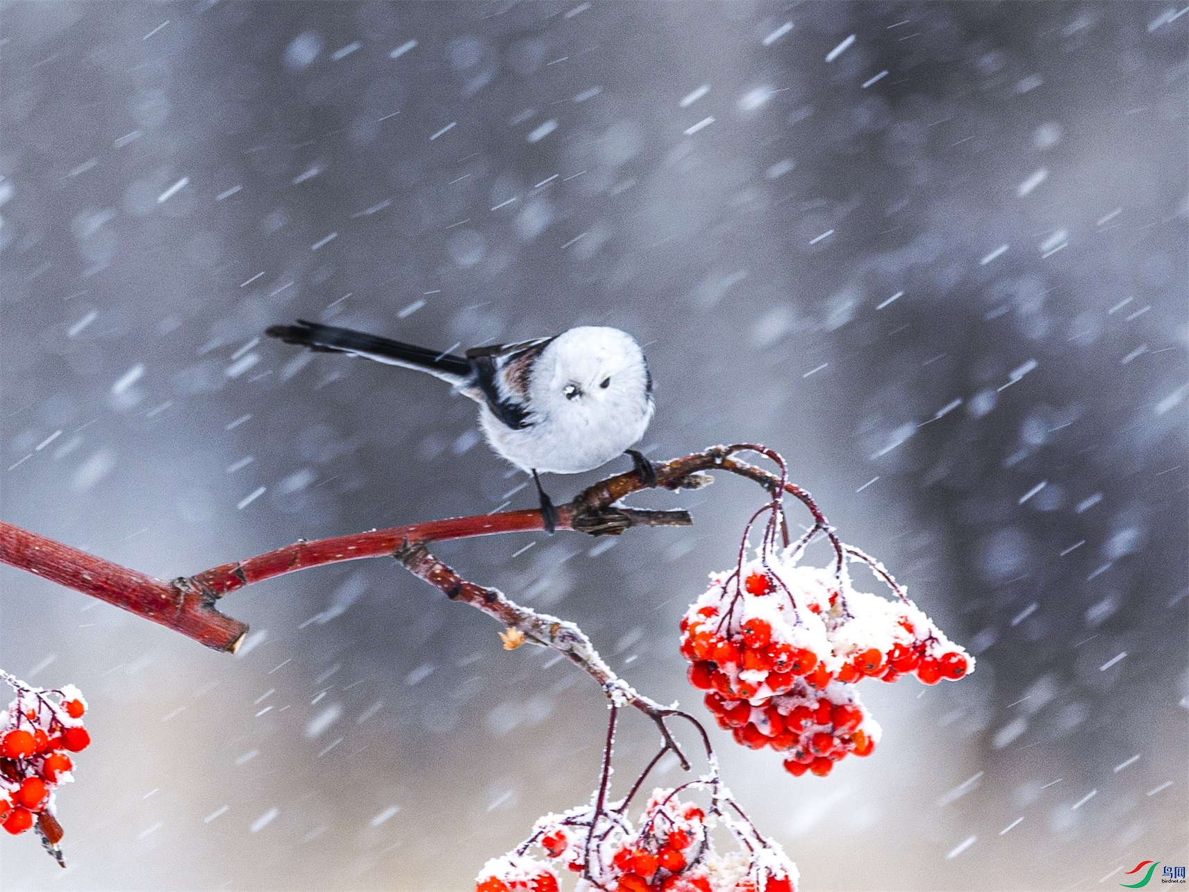 1K3A8844 ����1.jpg