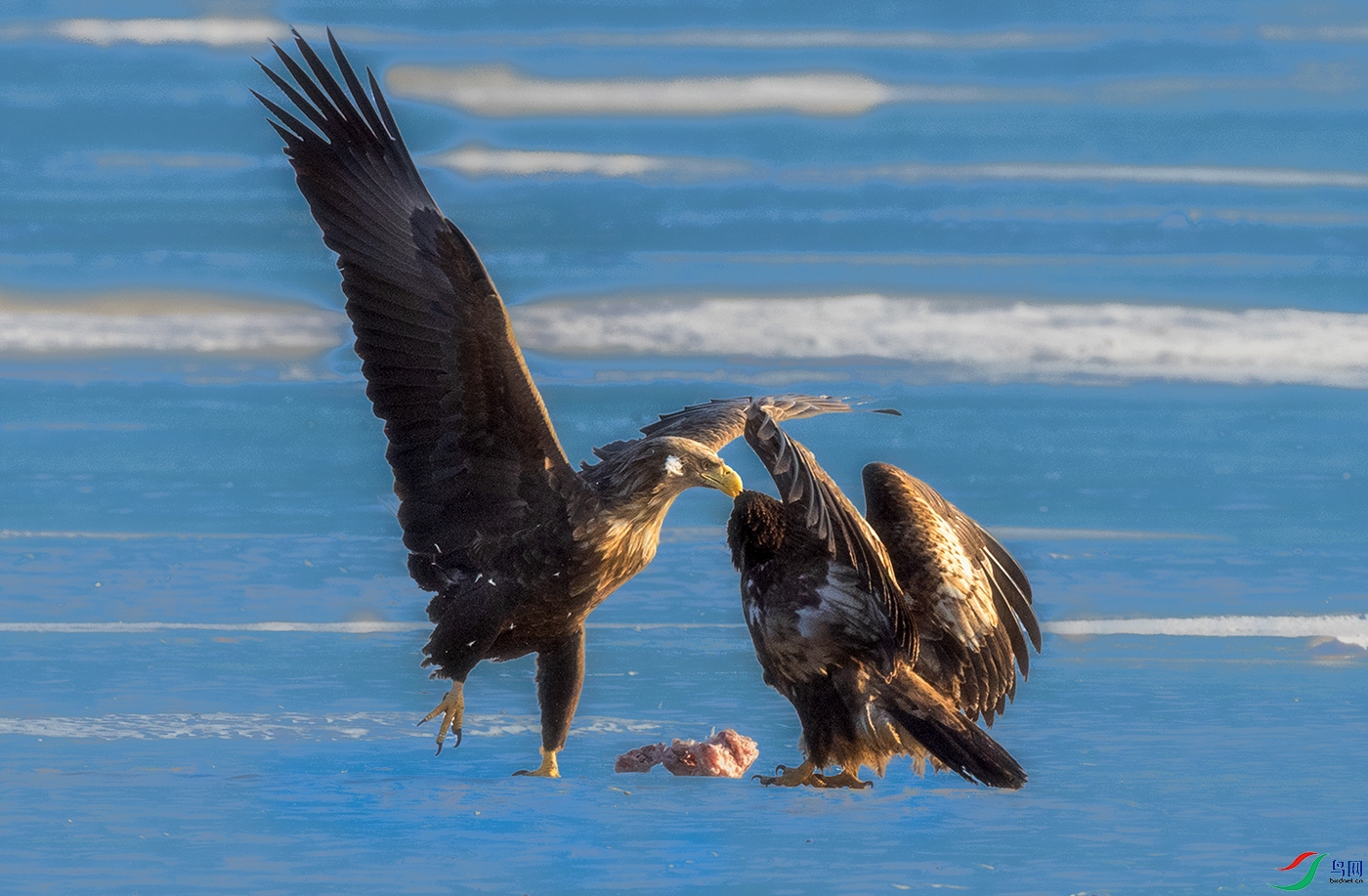 ��β����----�����ҵ�����