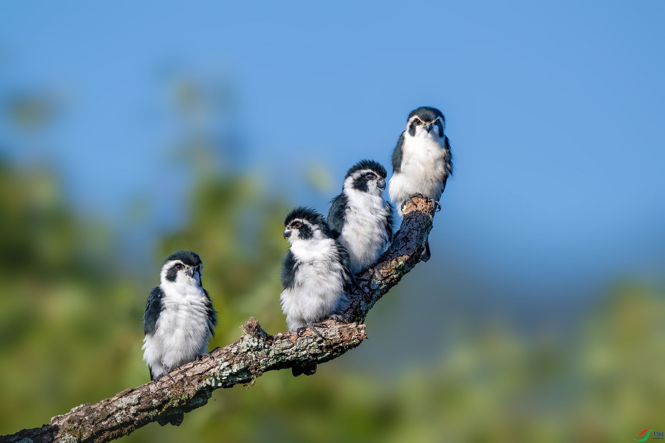 DSC_2741 ����.jpg