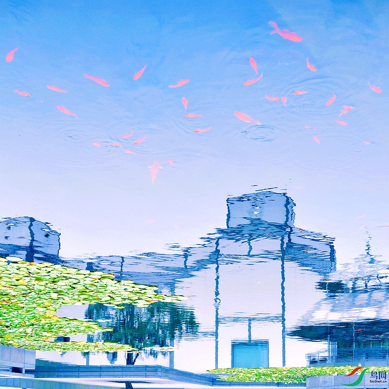 �ҿ��ղ�D2_NW.jpg