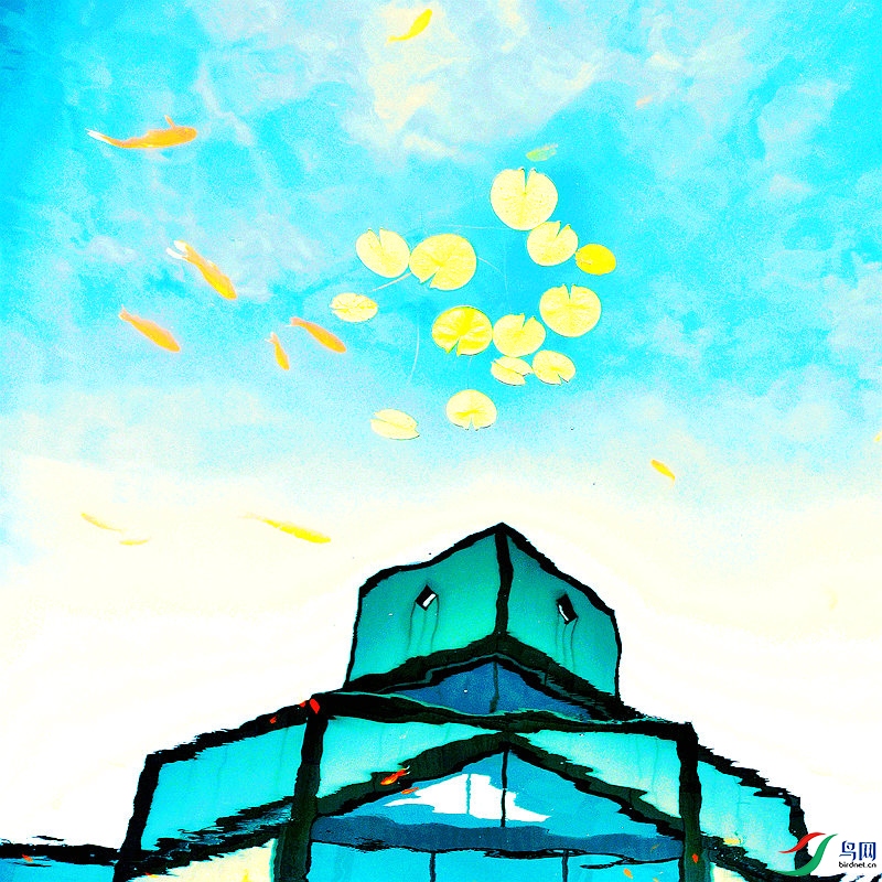 �ҿ��ղ�D3_NW.jpg