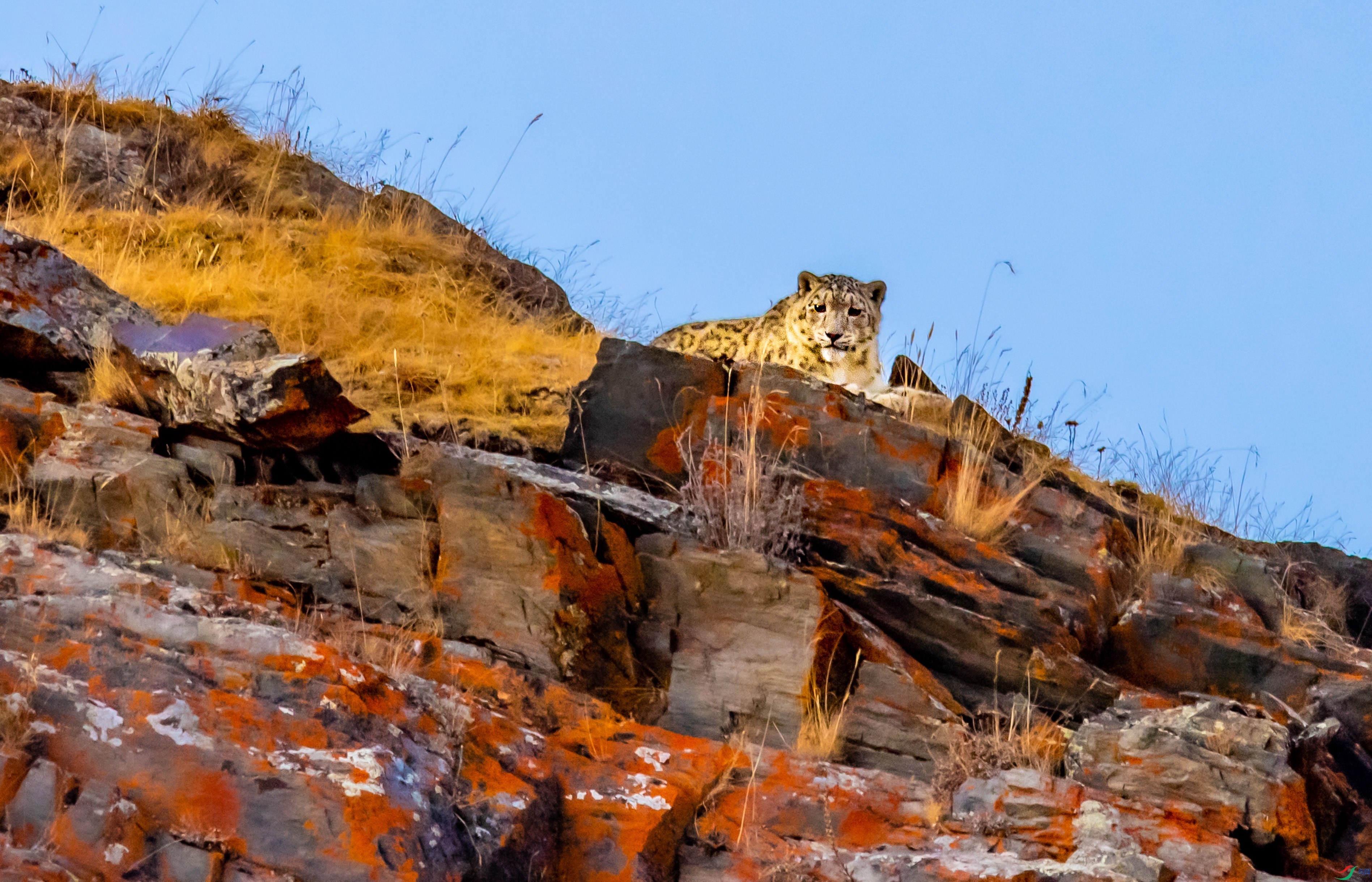 DSC_1104-2_1.jpg