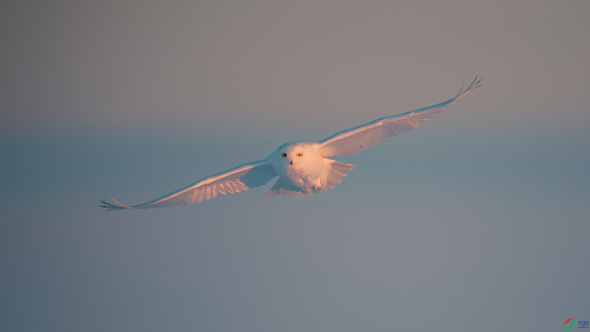 _DSC2302==1w.jpg