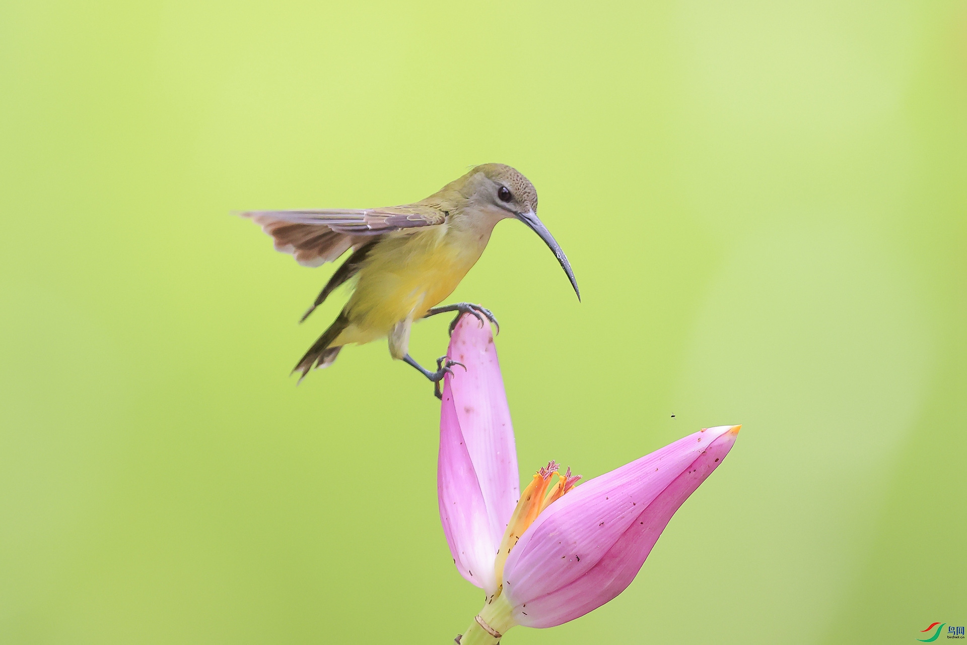 1M6A8523 ����_����.jpg