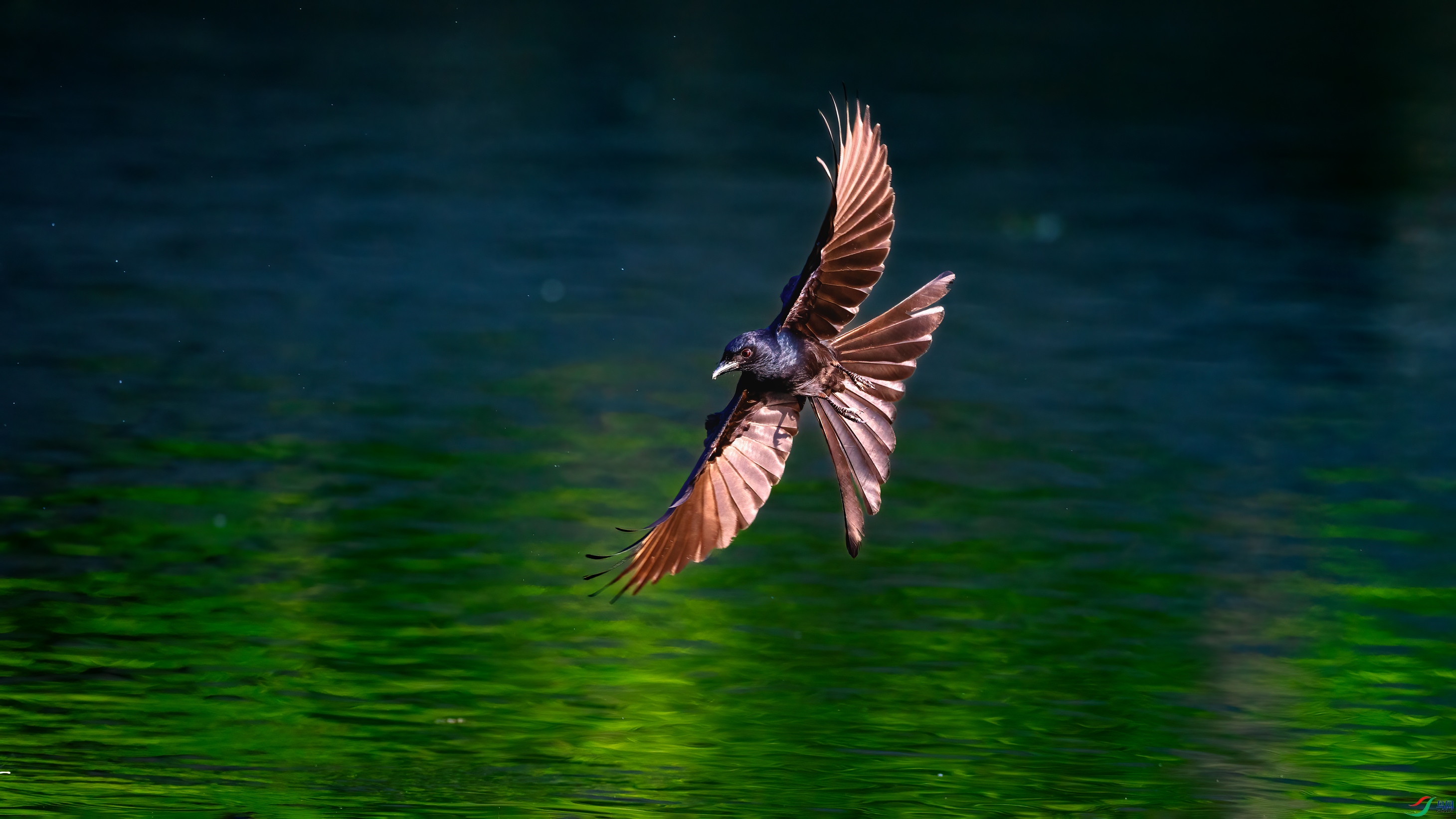 ����ɫX7A6404.jpg