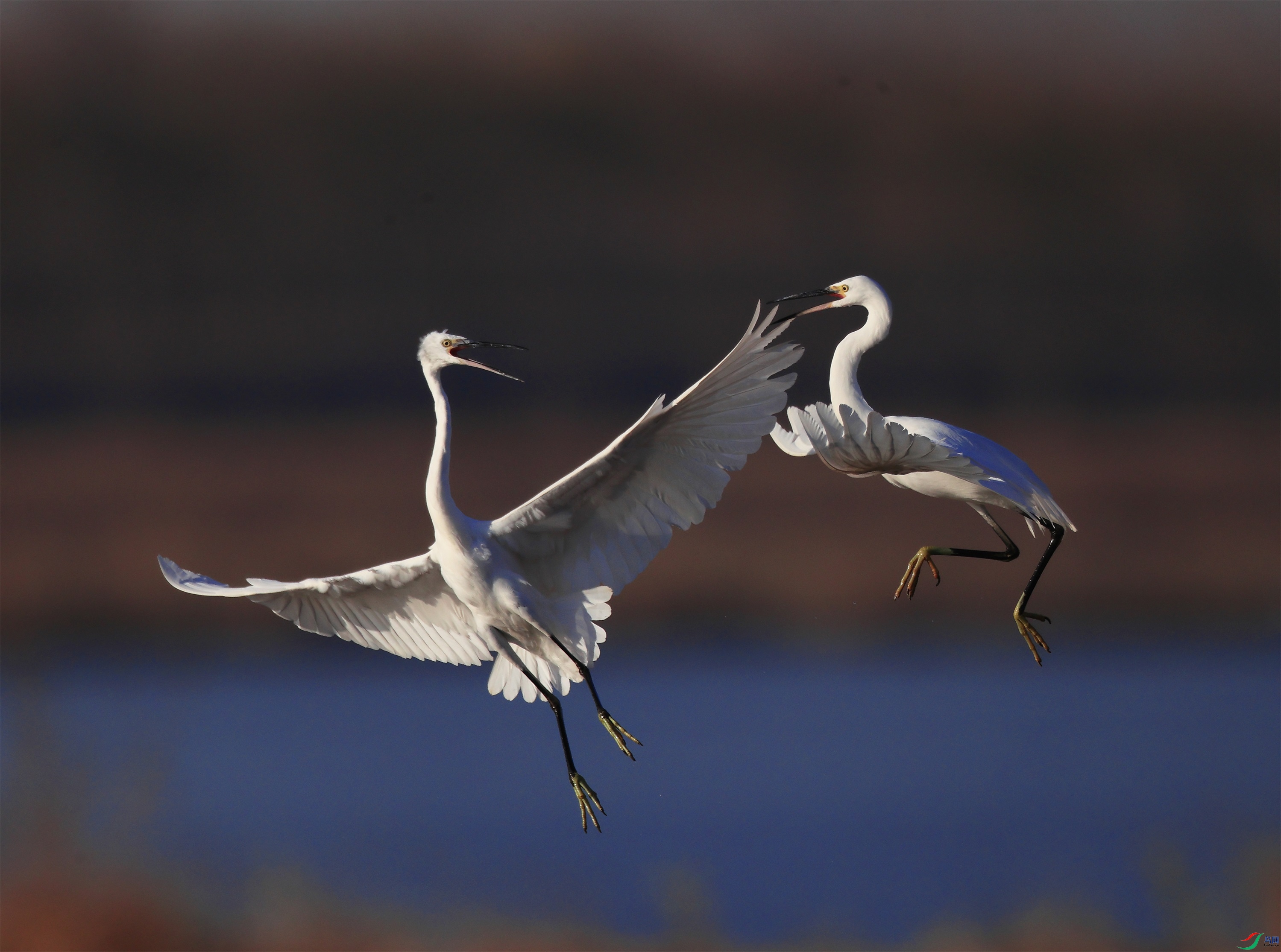 5 - ���� (3).JPG