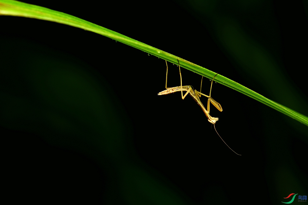 DSC_0470_NW.jpg