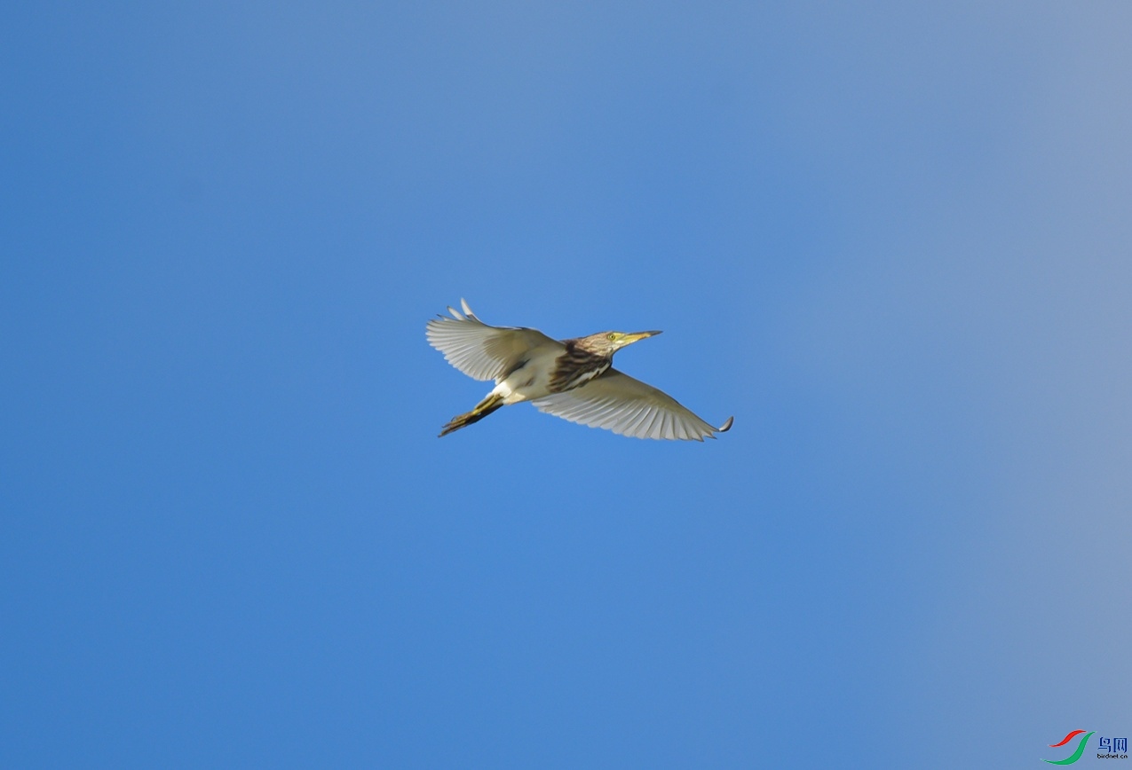 DSC_3885f_��ͼ��.jpg