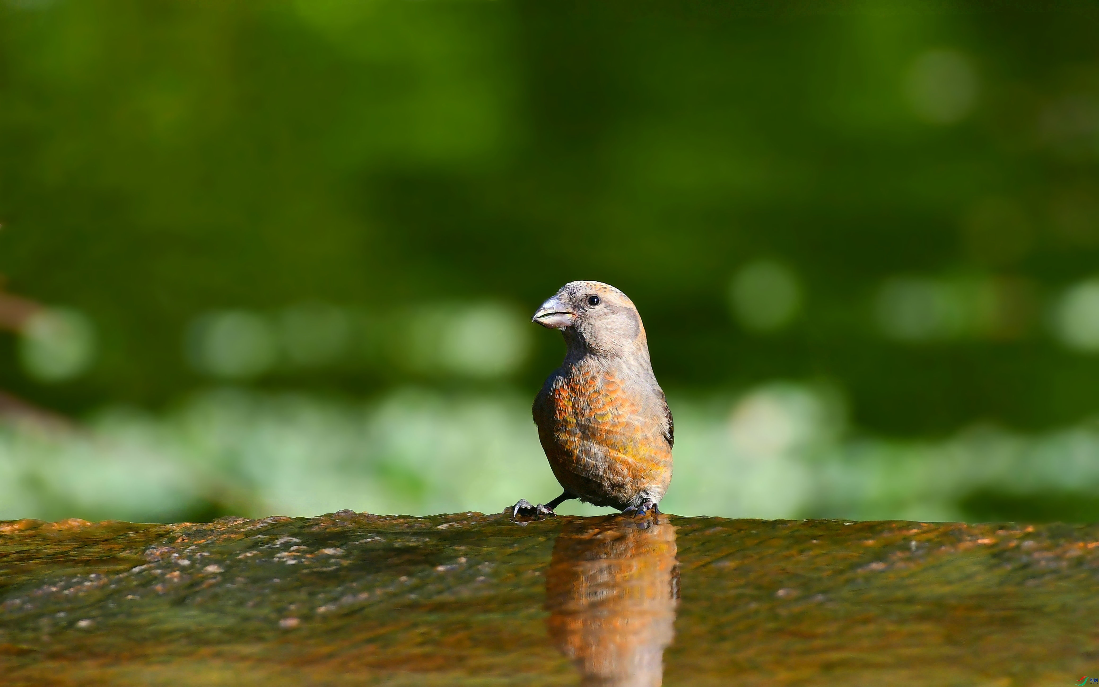 DSC_8643.JPG