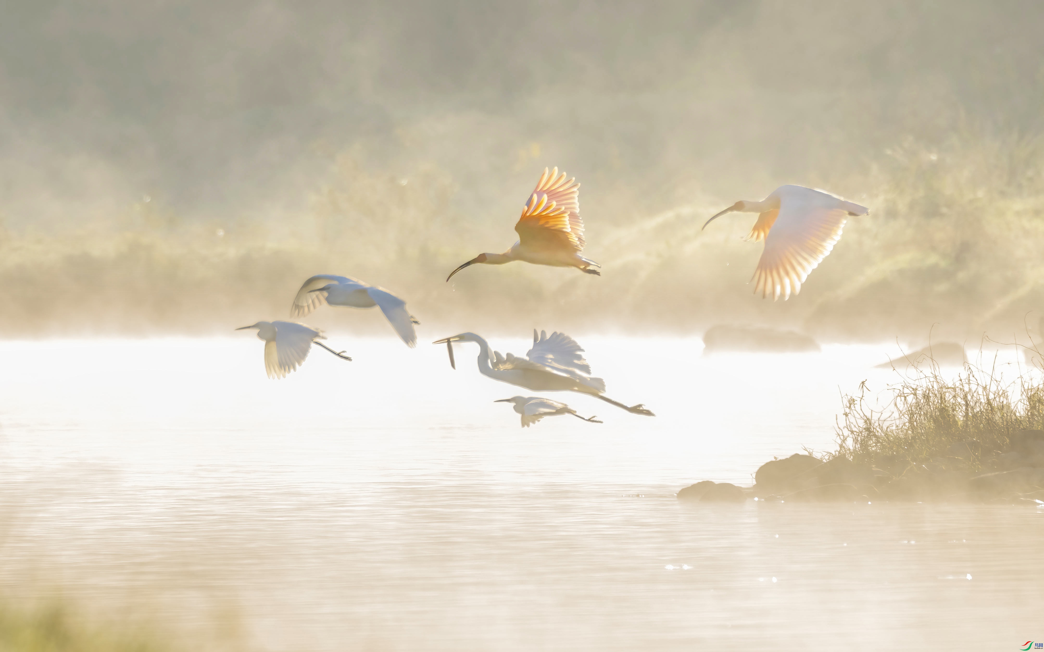 123A7343-����-DeNoiseAI-standard.jpg
