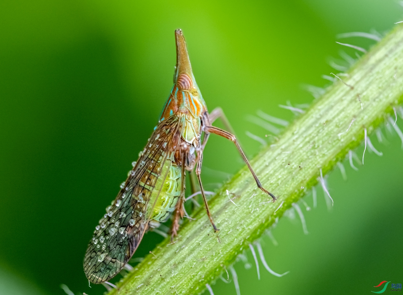 DSCF9505_1.jpg