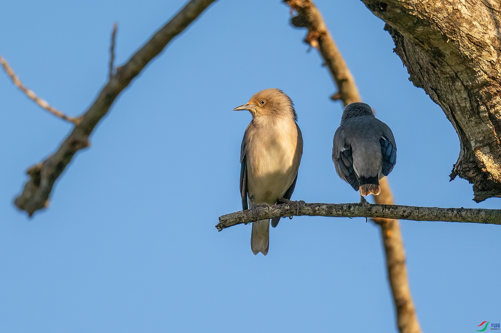 DSC_0012.jpg