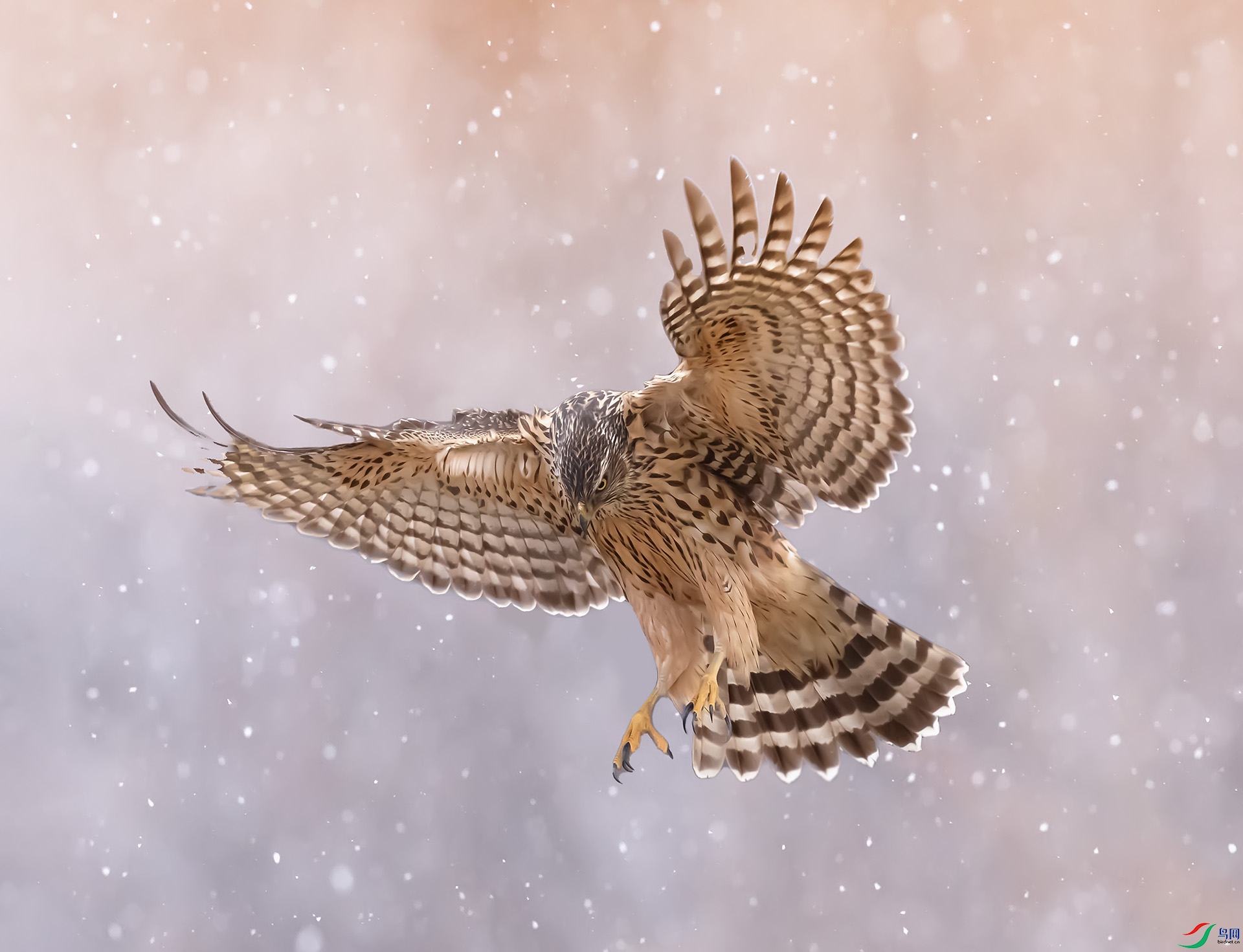 019A4162-2 ����.jpg