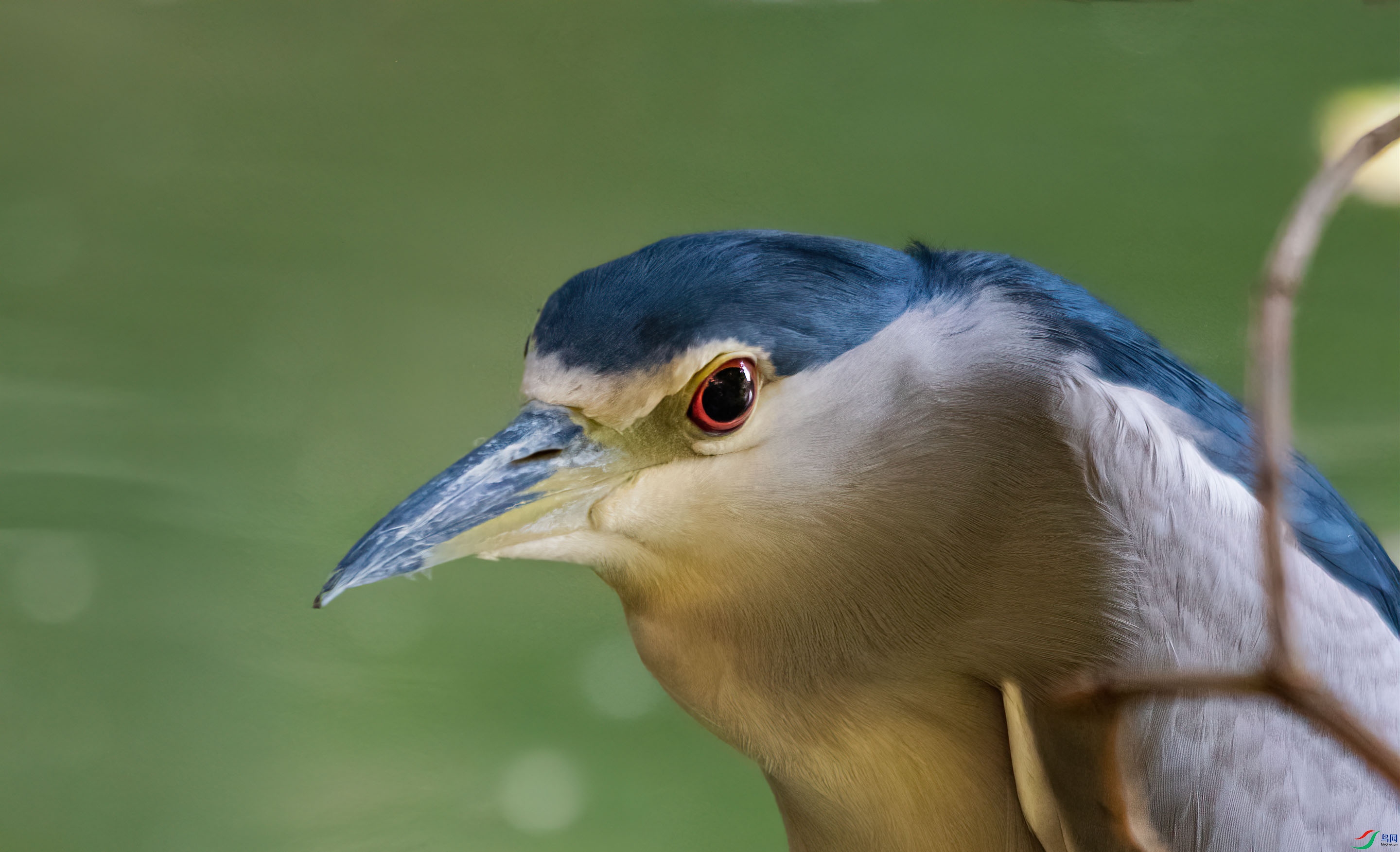 DSC_9489-s.jpg