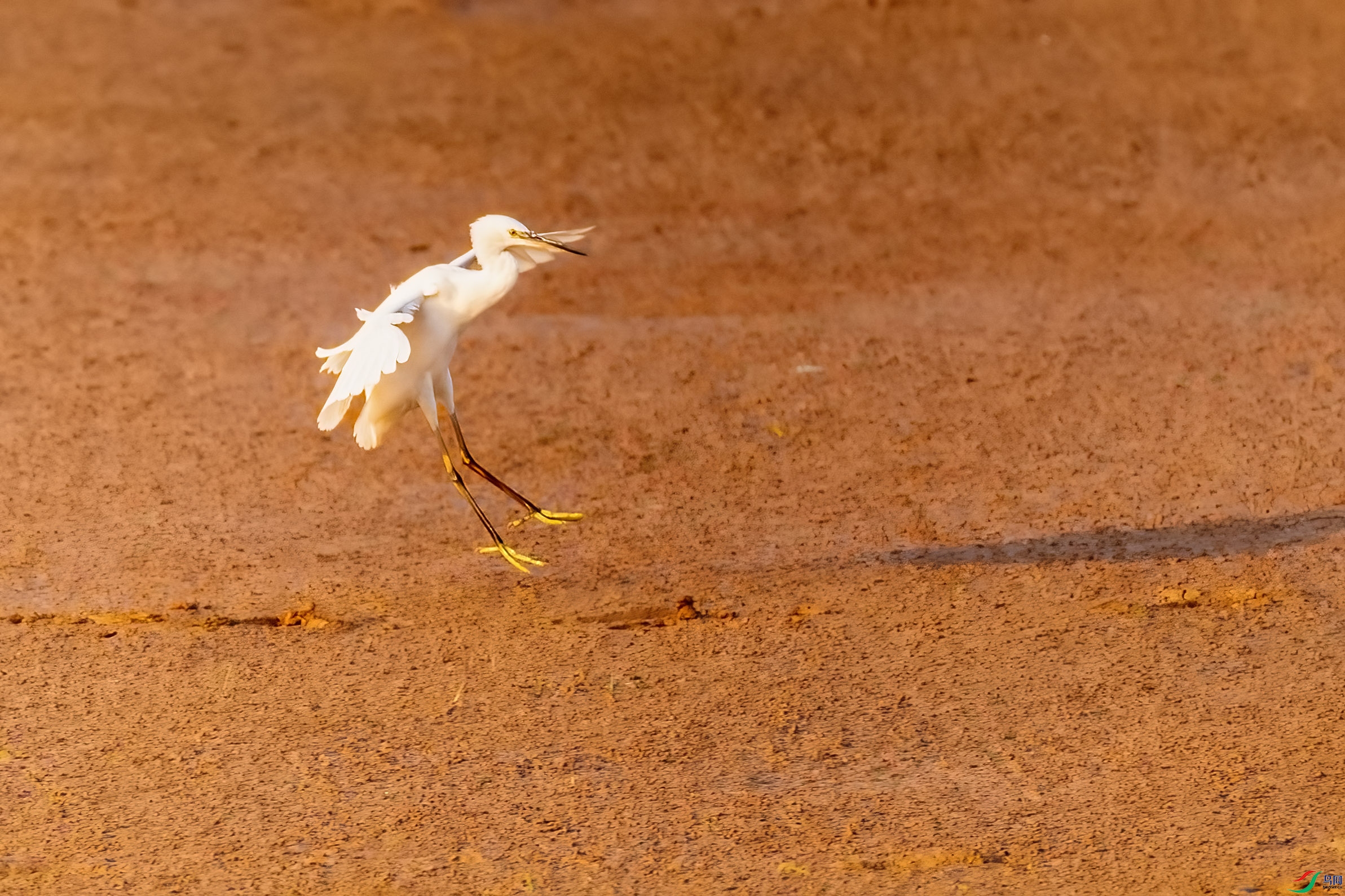 0M3A6615 ����.jpg