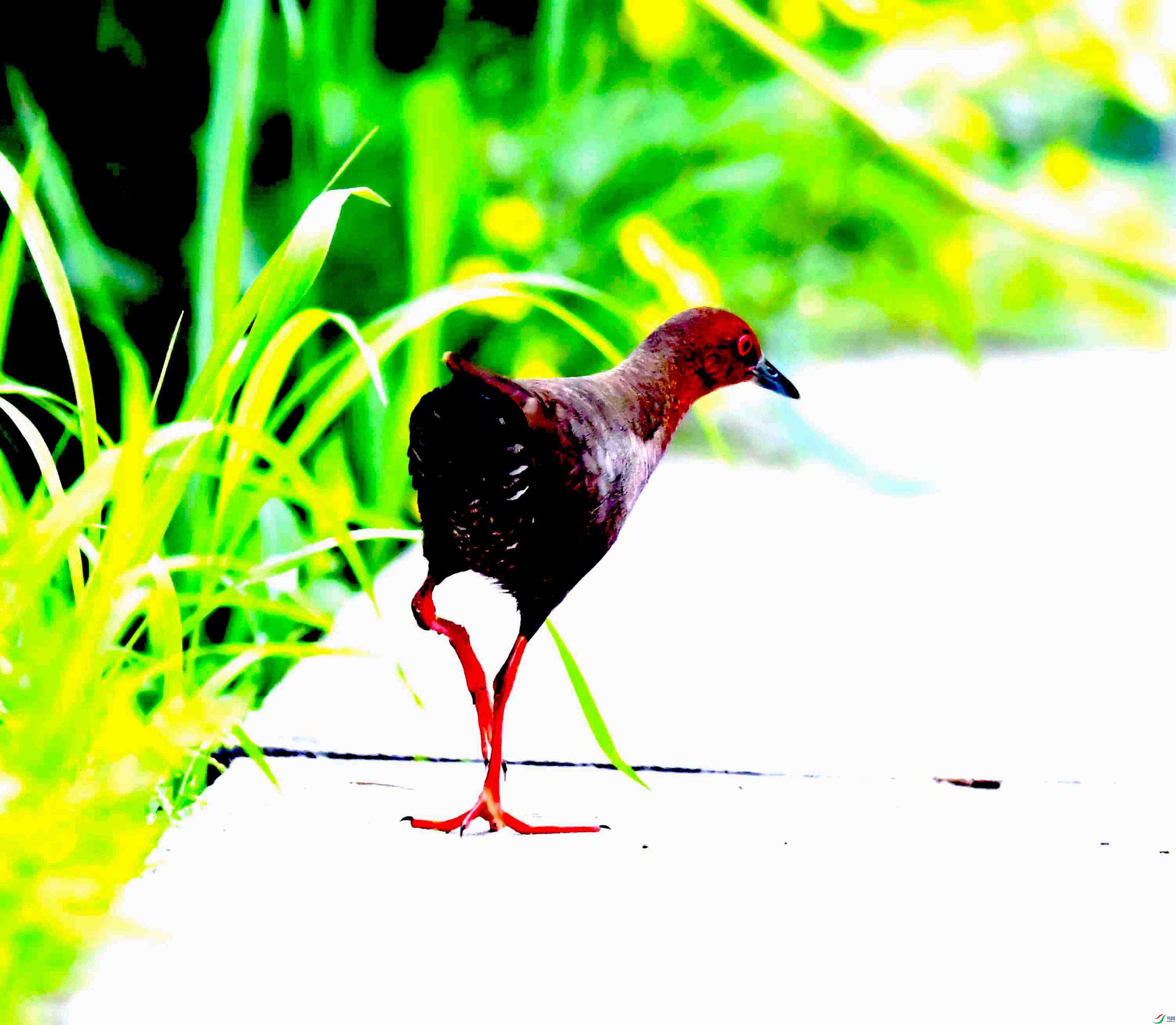 DSC_4150.JPG