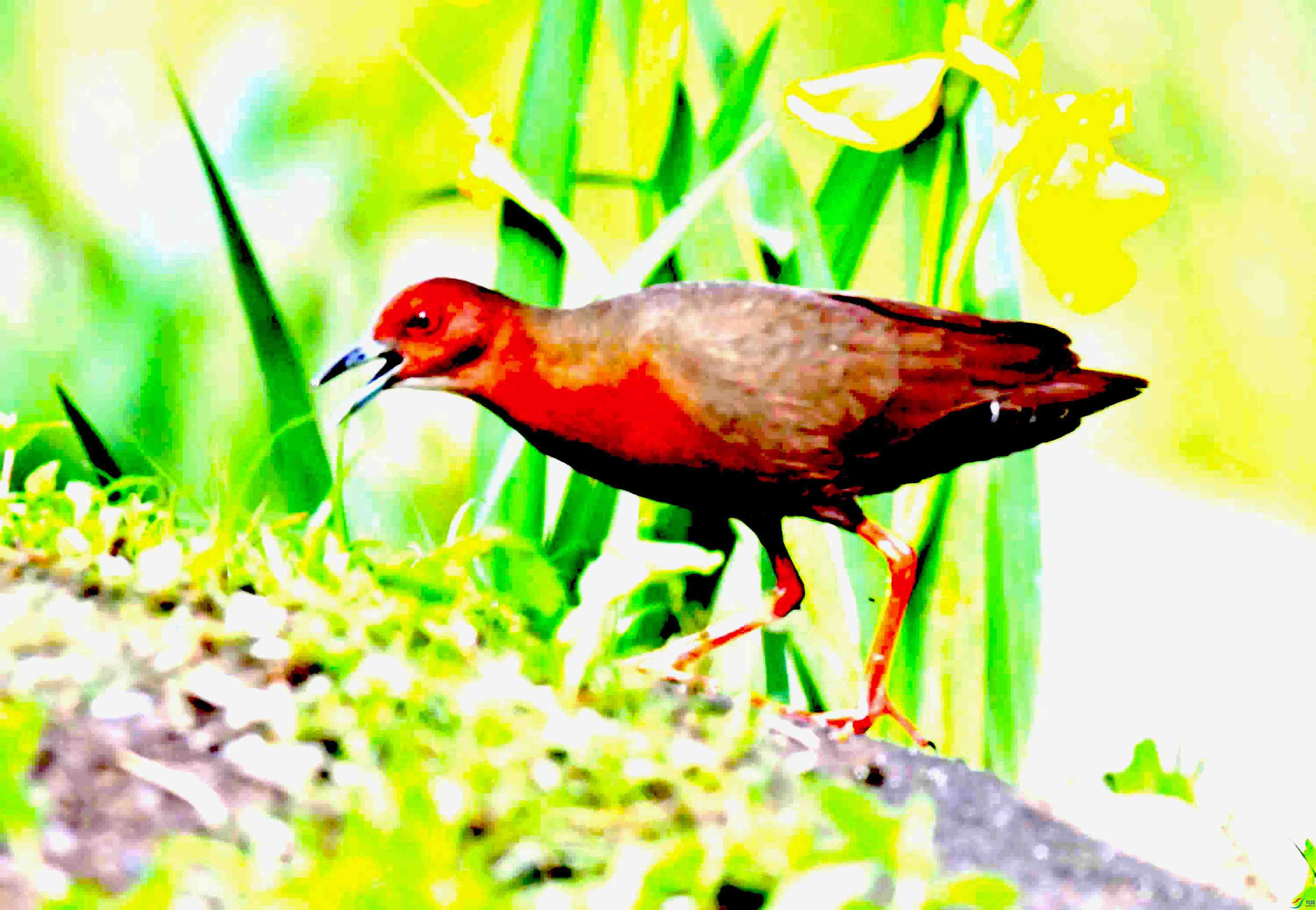 DSC_4214.JPG
