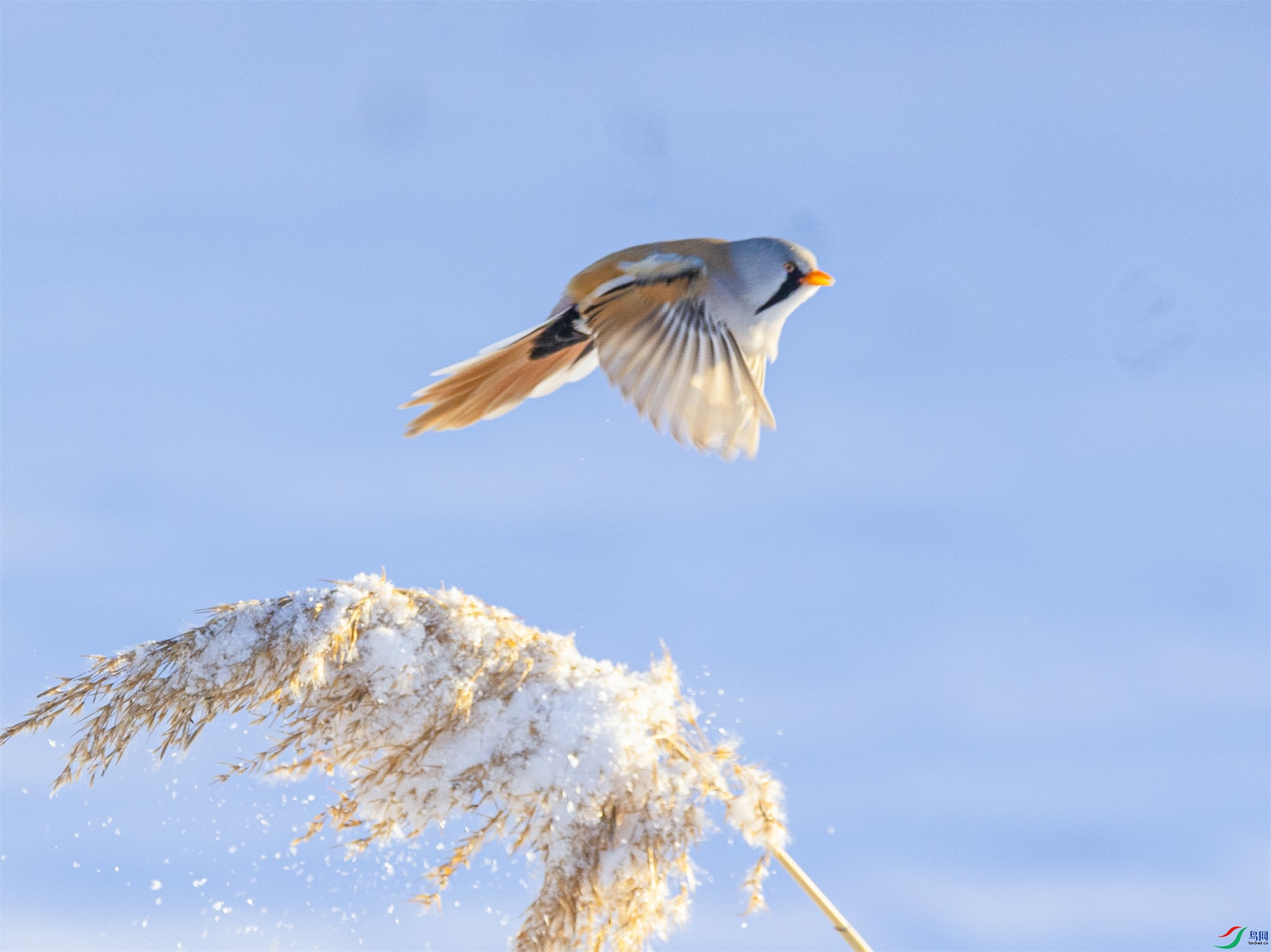 1K3A4767 ����1.jpg