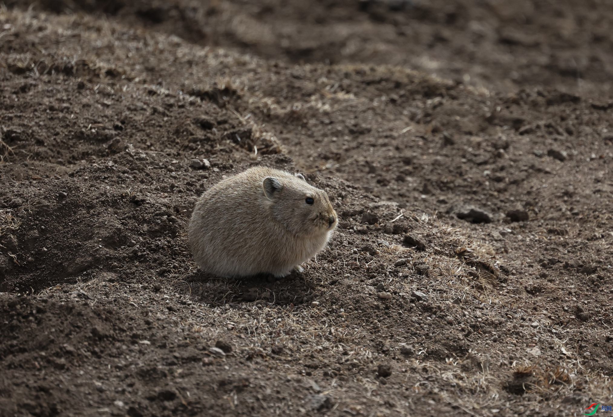 381A0363 - ����.JPG