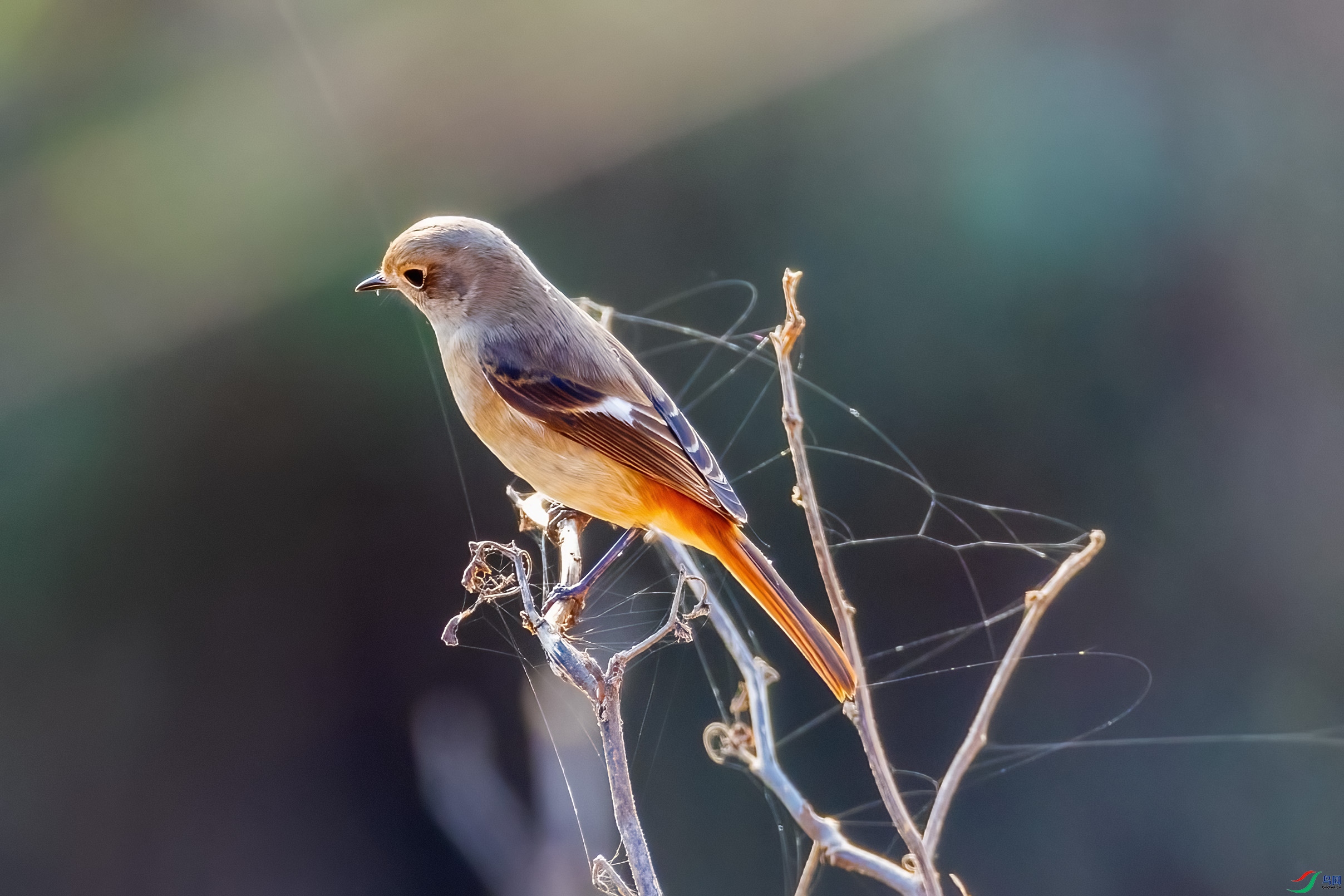 0M3A7322 ����.jpg