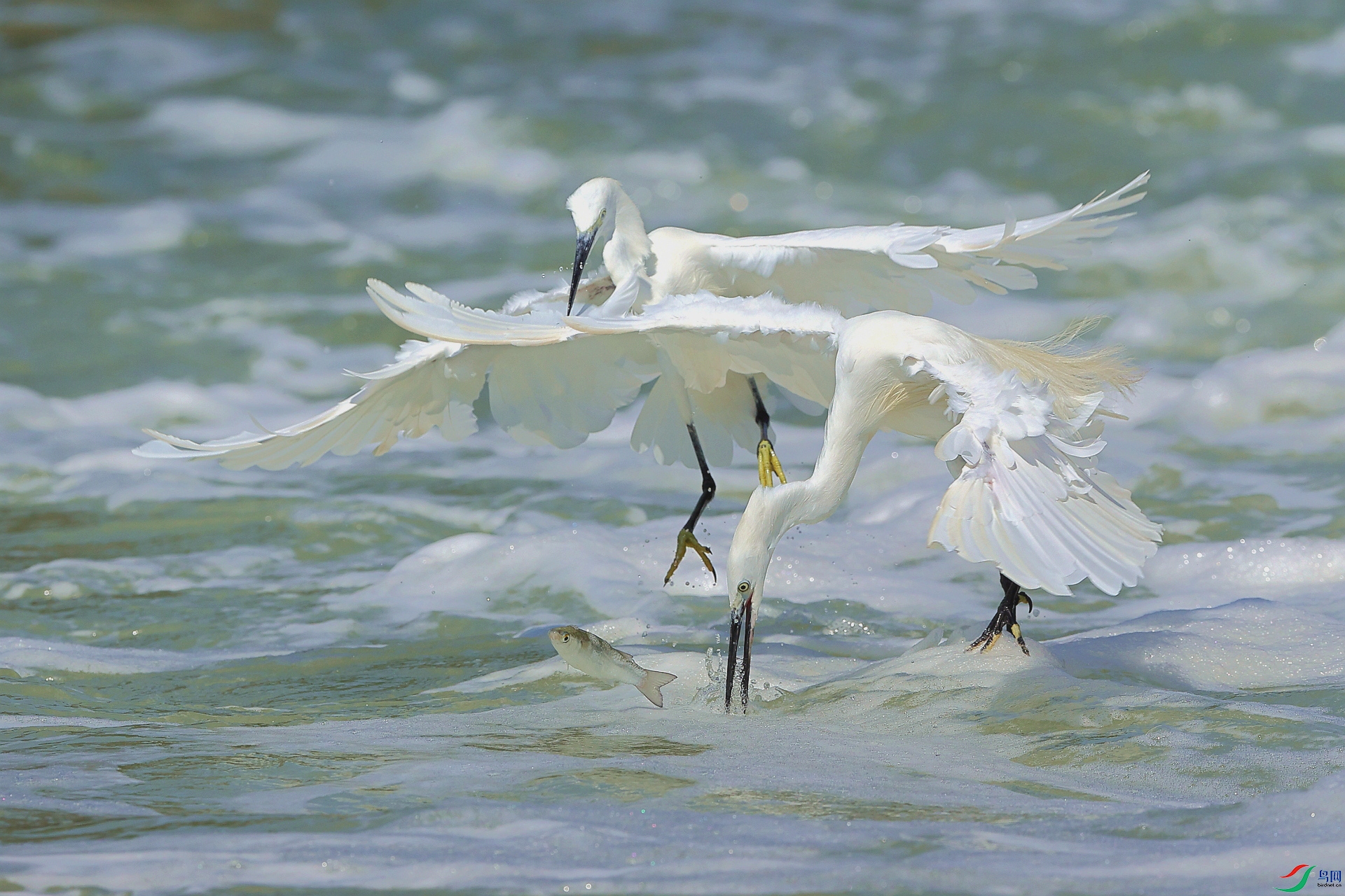 �ļ��� �ӹ�һ�� ��Ұ�Ÿ�.jpg