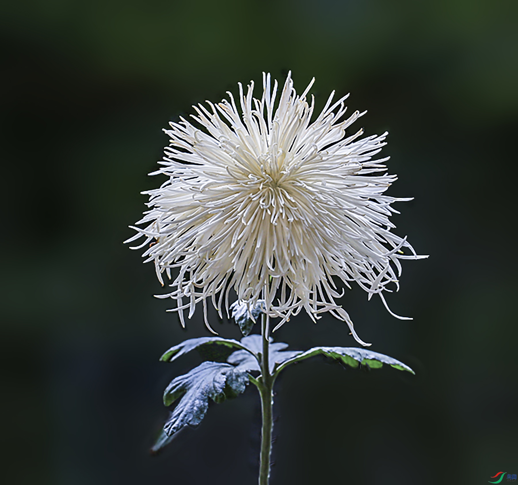 0019858322U9A1106 ������ 1000k.jpg