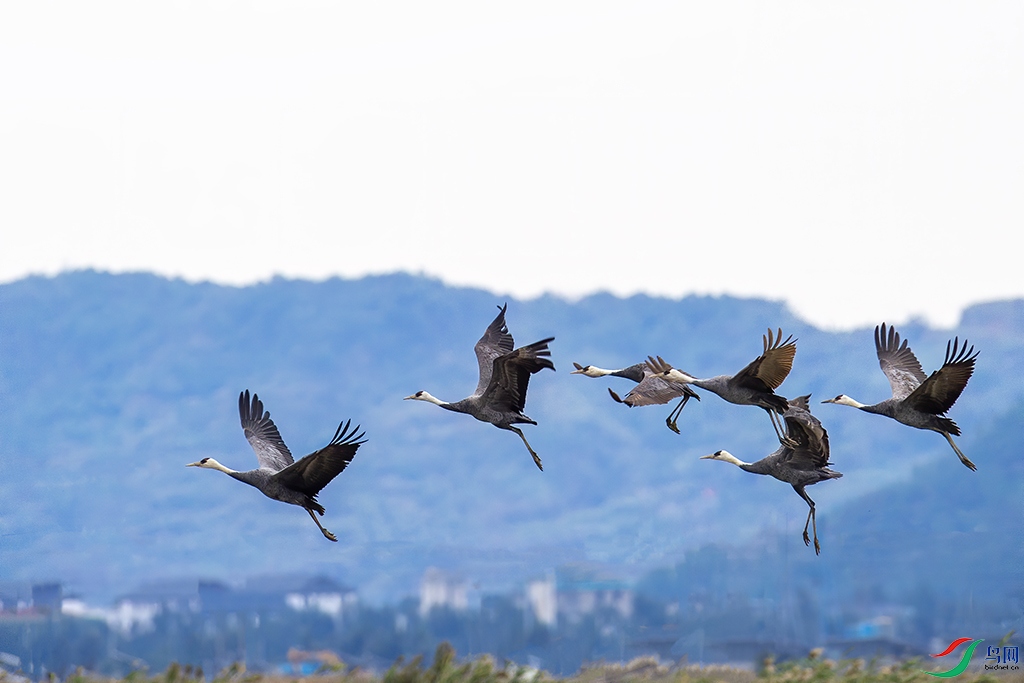 DSC_3767 ���� 2.jpg