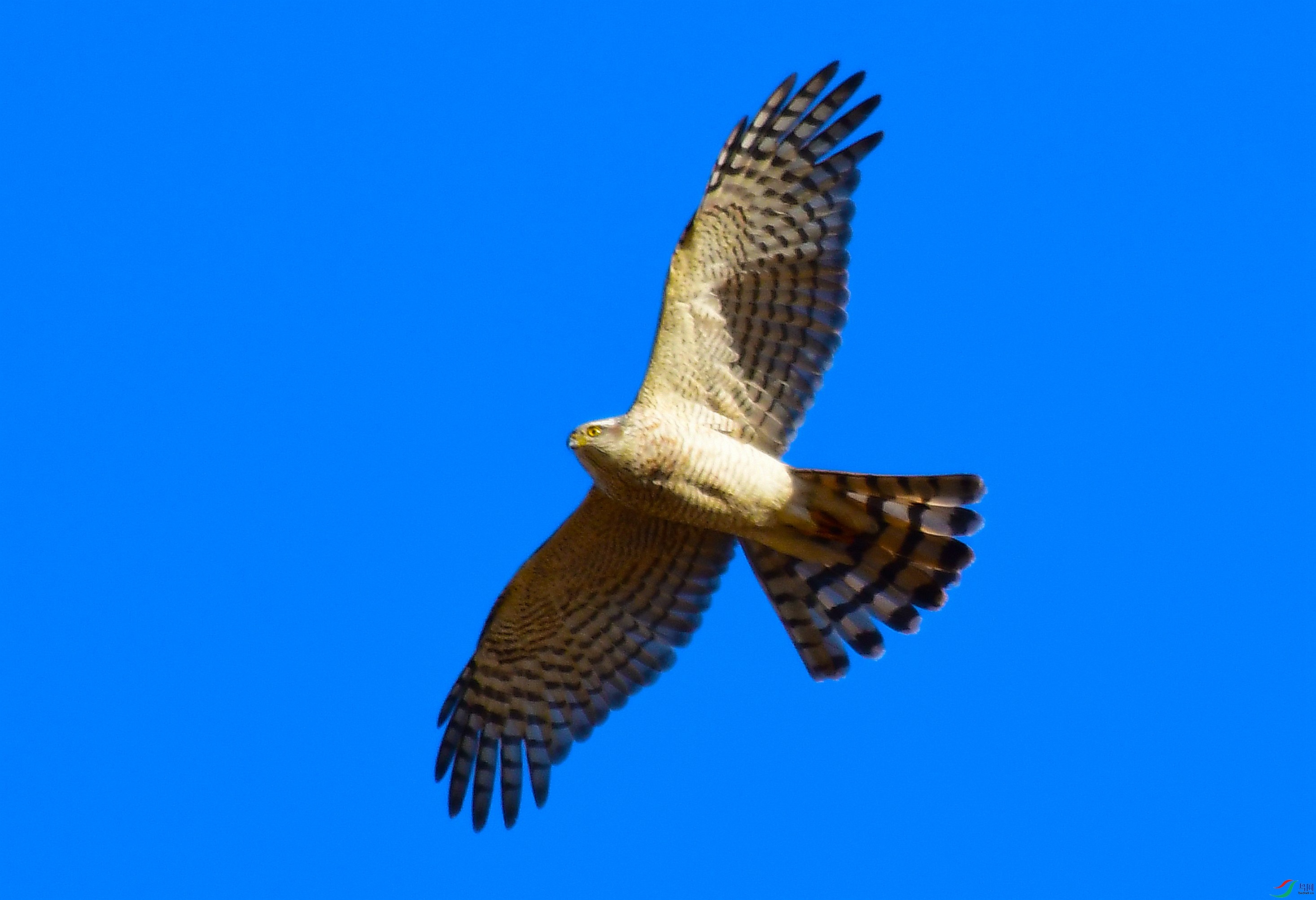 DSC_3888.JPG