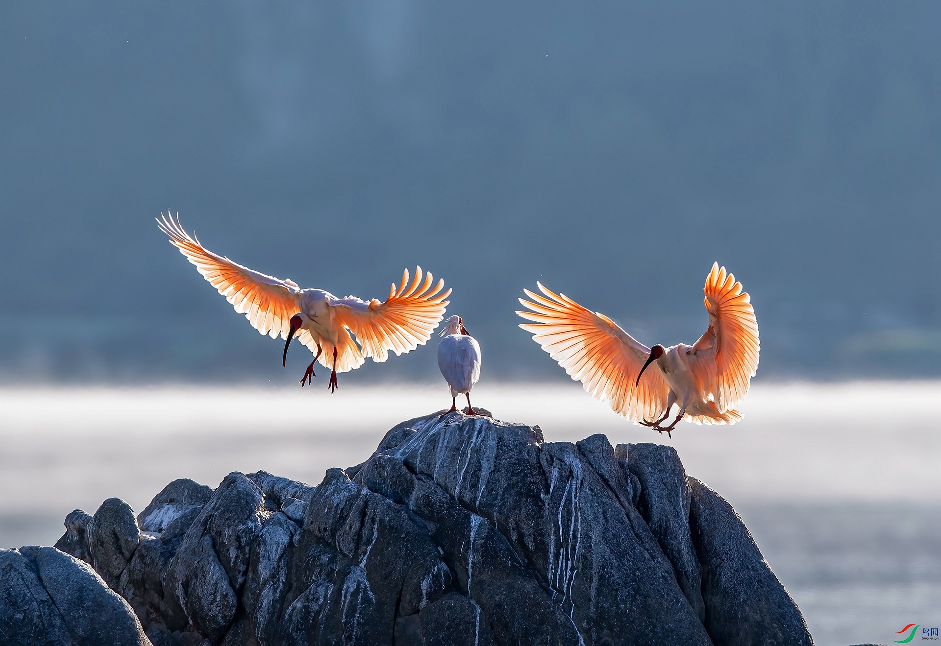 DSC_4989 ����_����.jpg