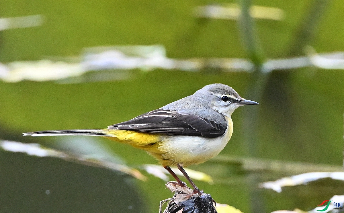 DSC_8493.JPG