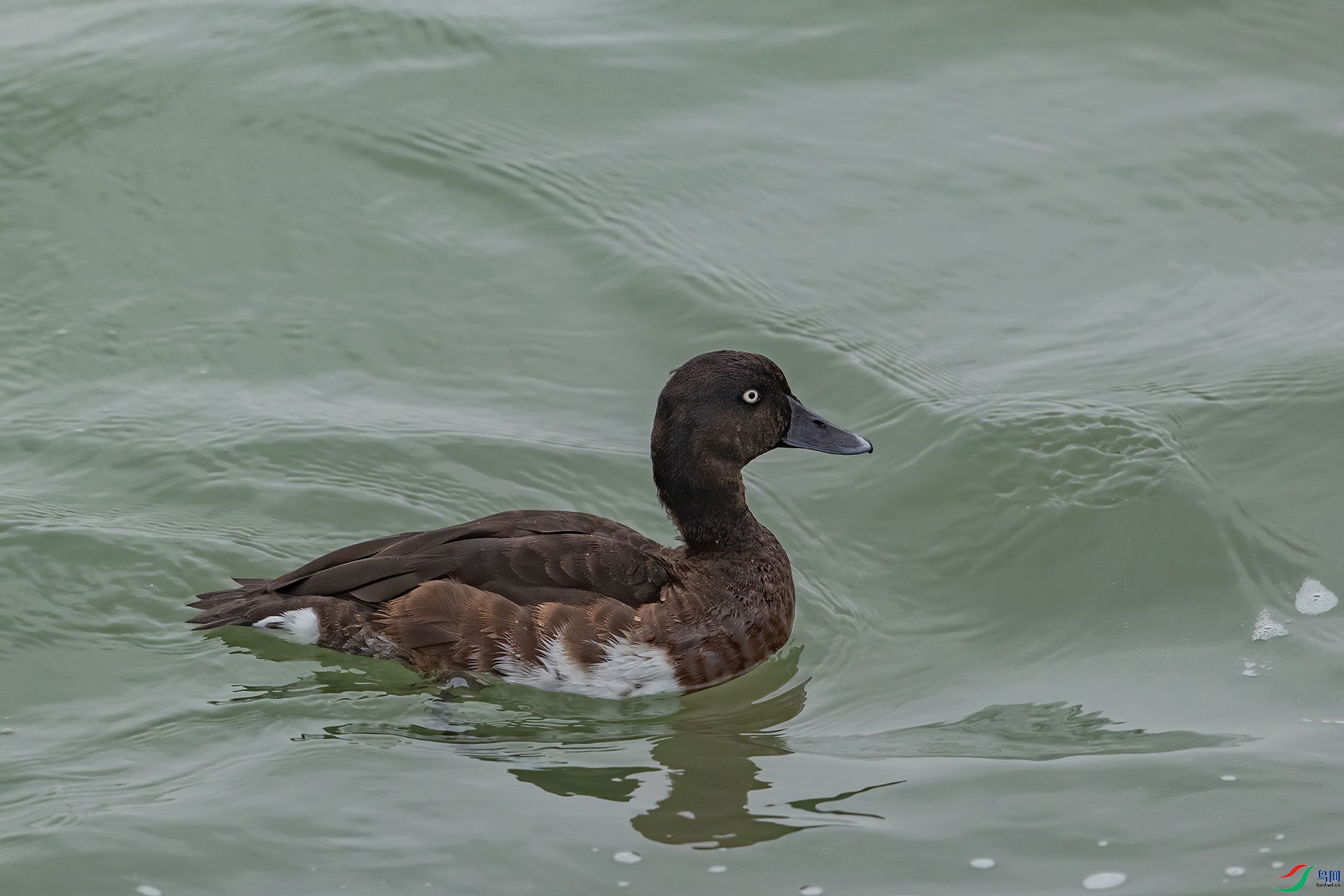 IMGL9102 ����.jpg