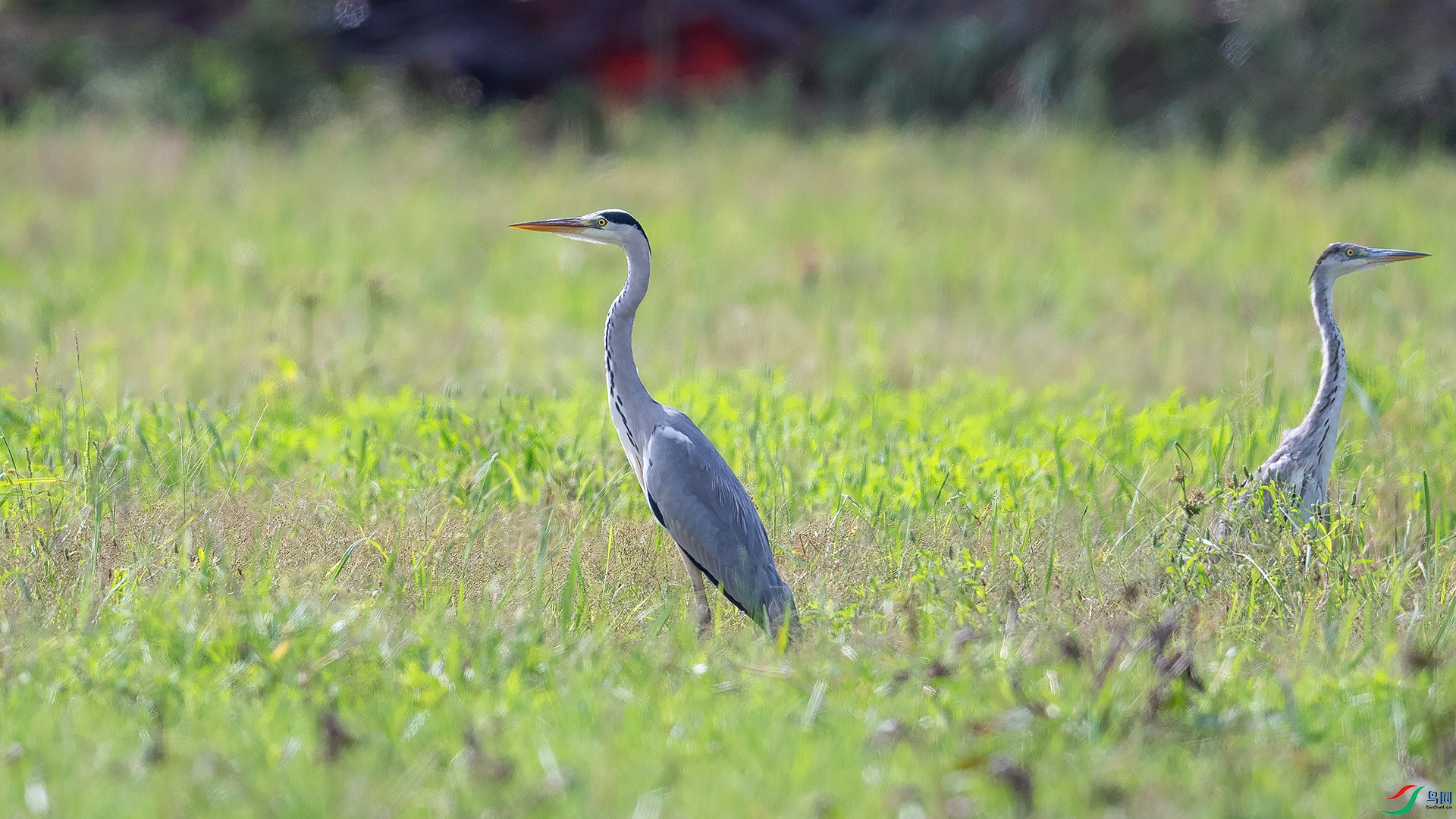 DSC_0343.jpg