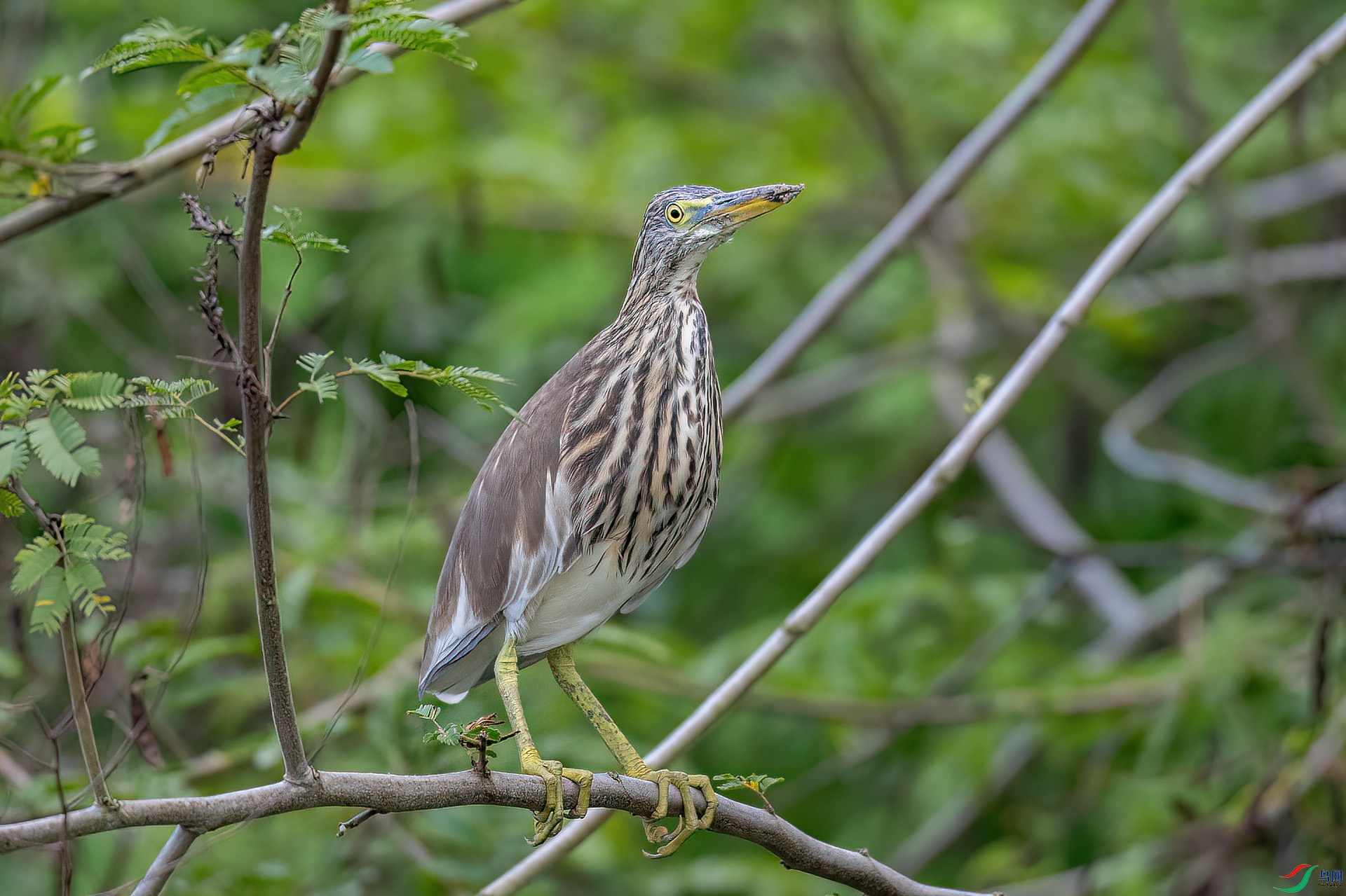 DSC_0103.jpg