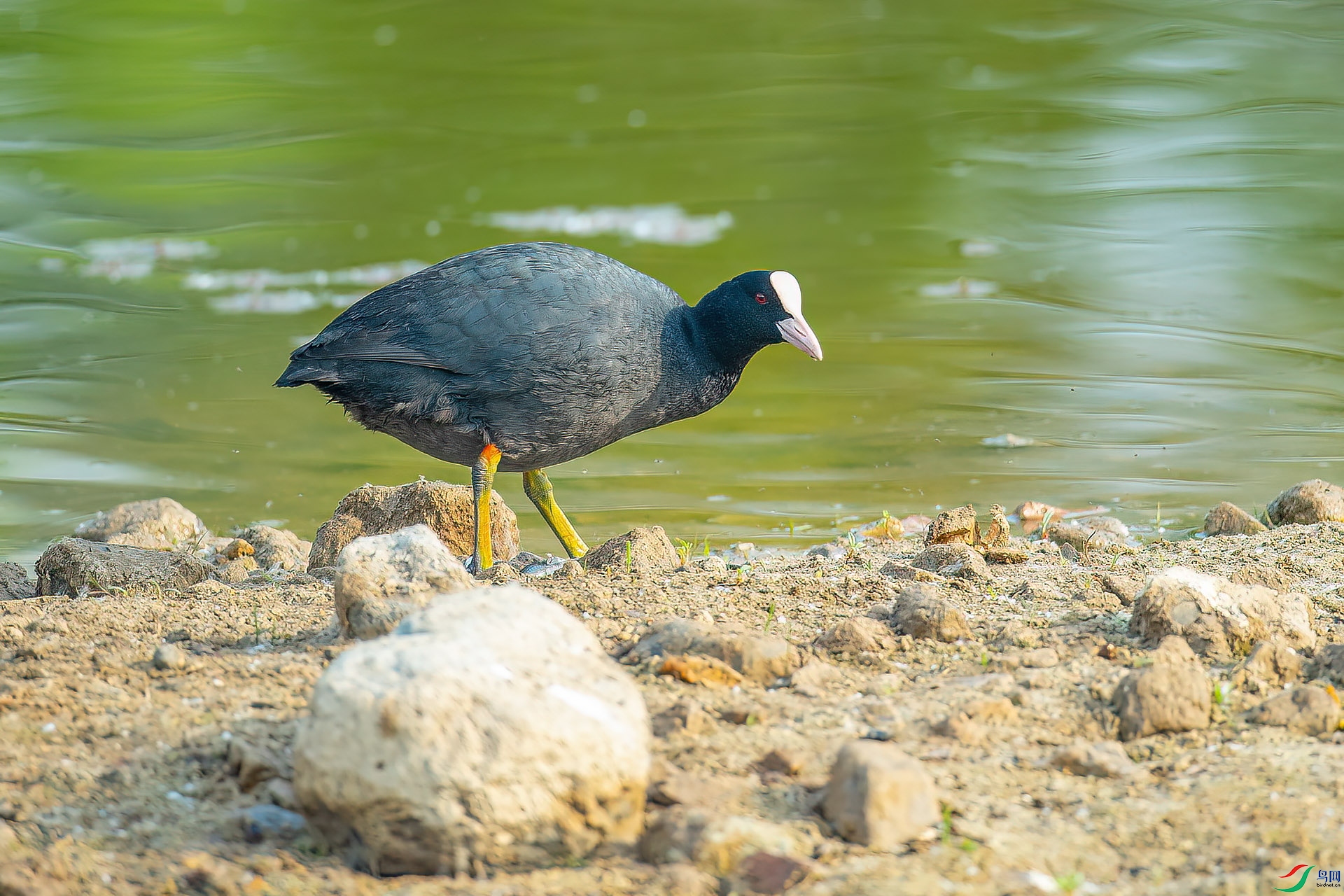 DSC_8646.jpg
