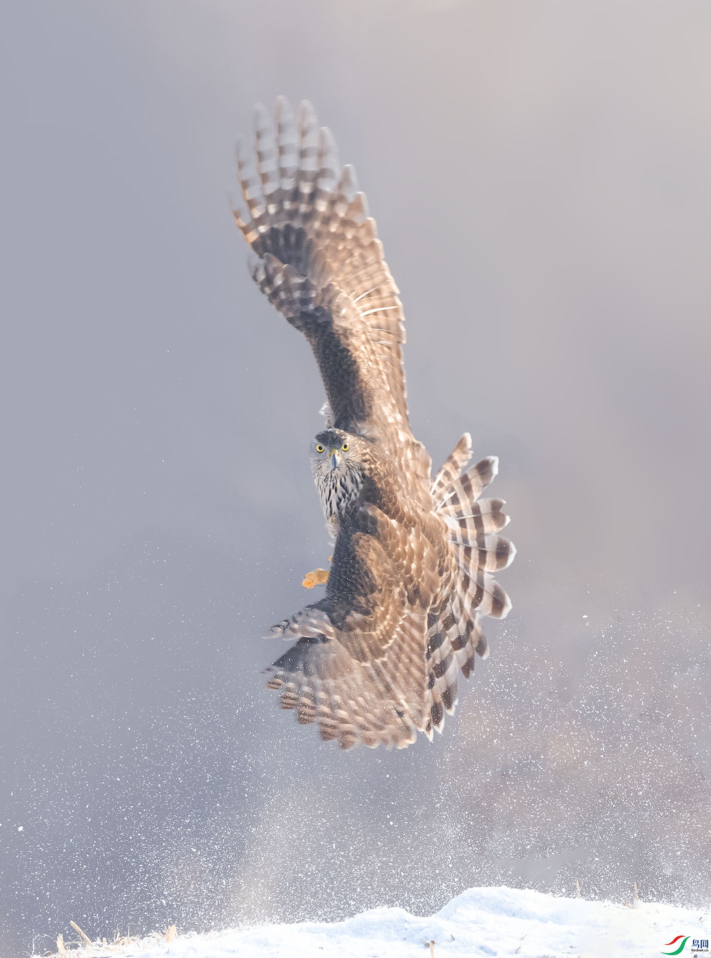 019A42444 ����.jpg