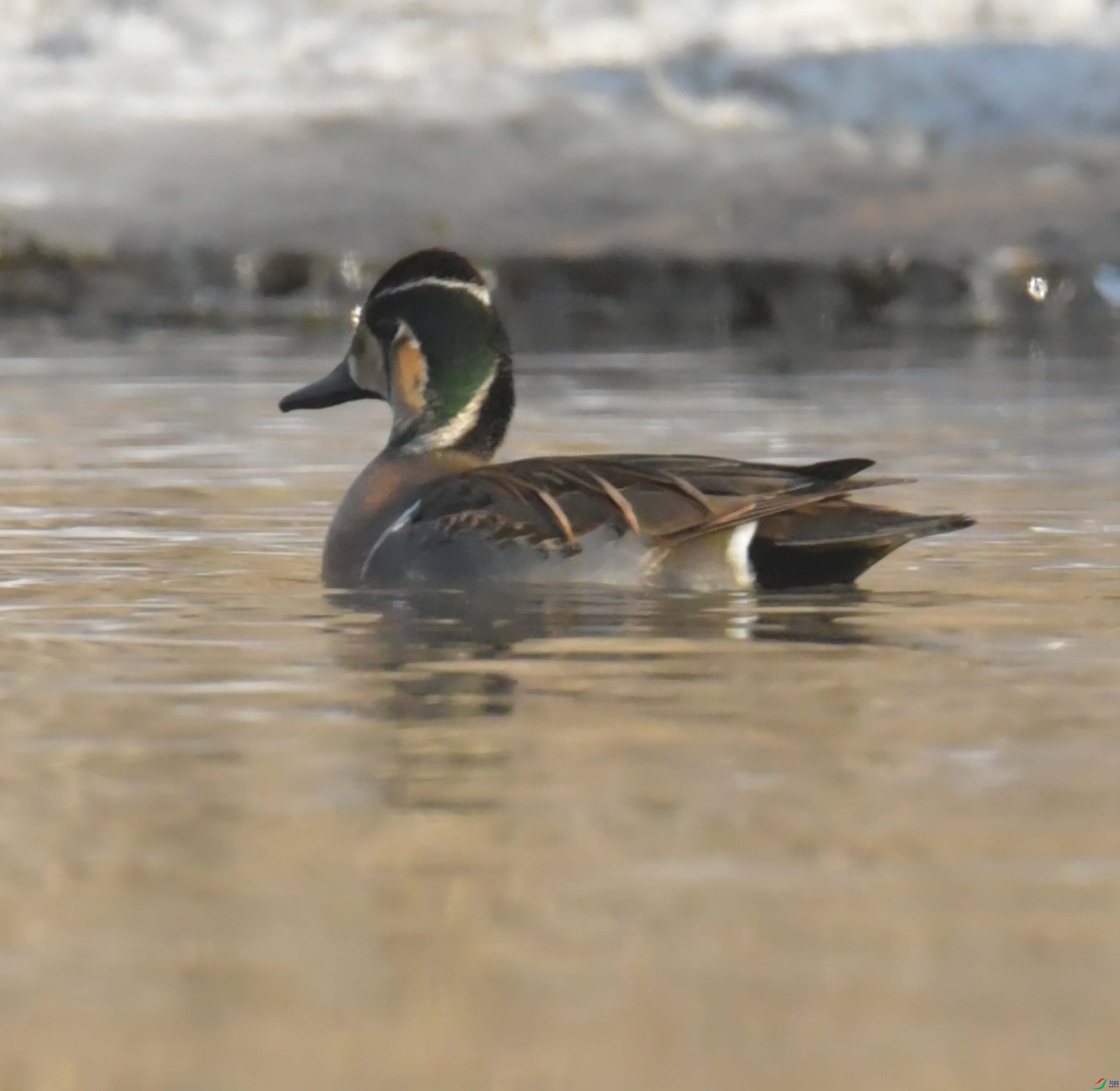 DSC_6143.JPG