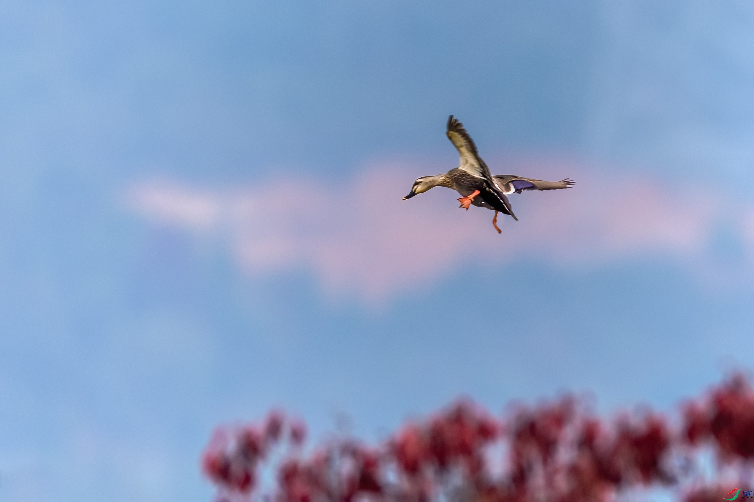 0M3A7469 ����.jpg