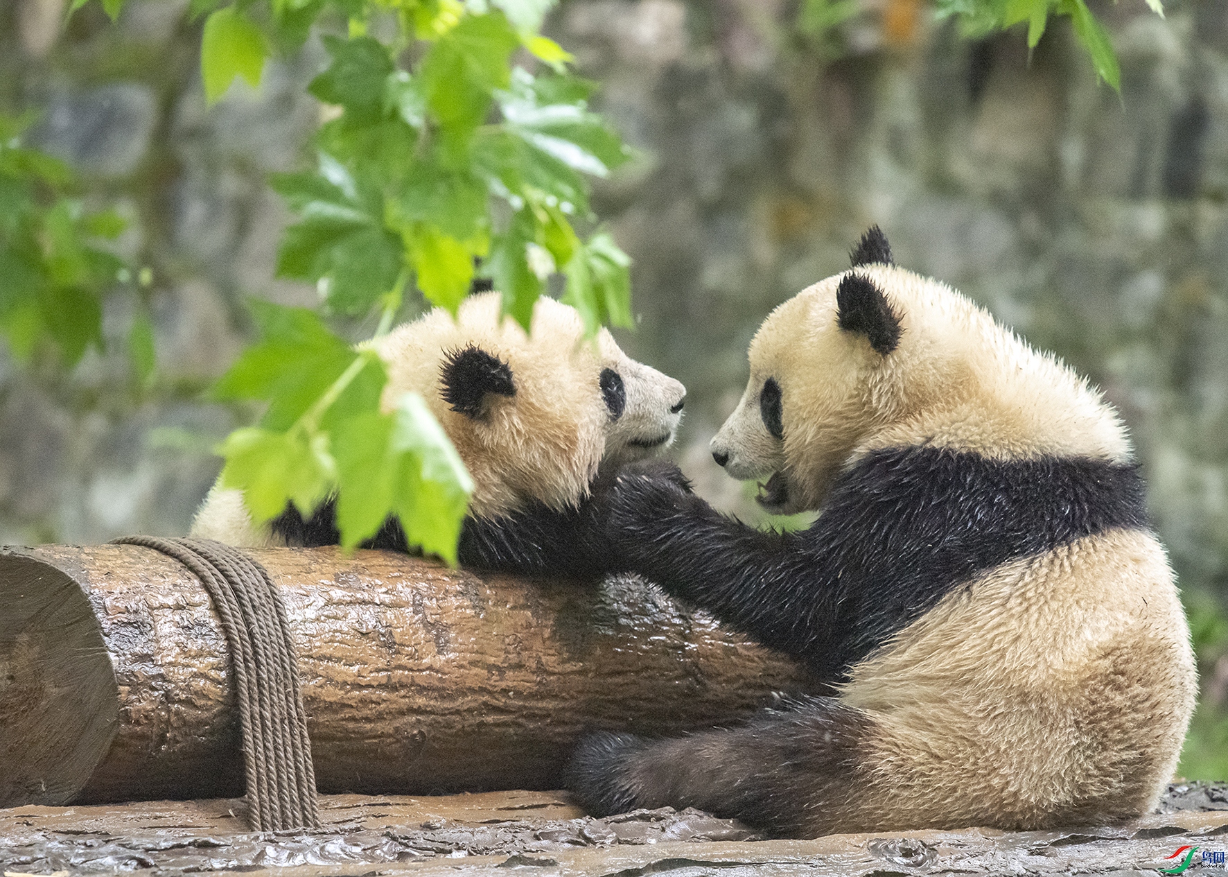 0859 ����.jpg