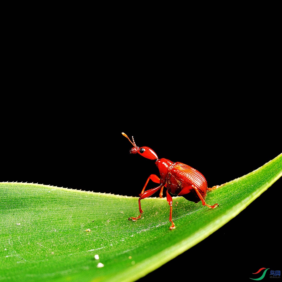 DSC_0690_NW.jpg